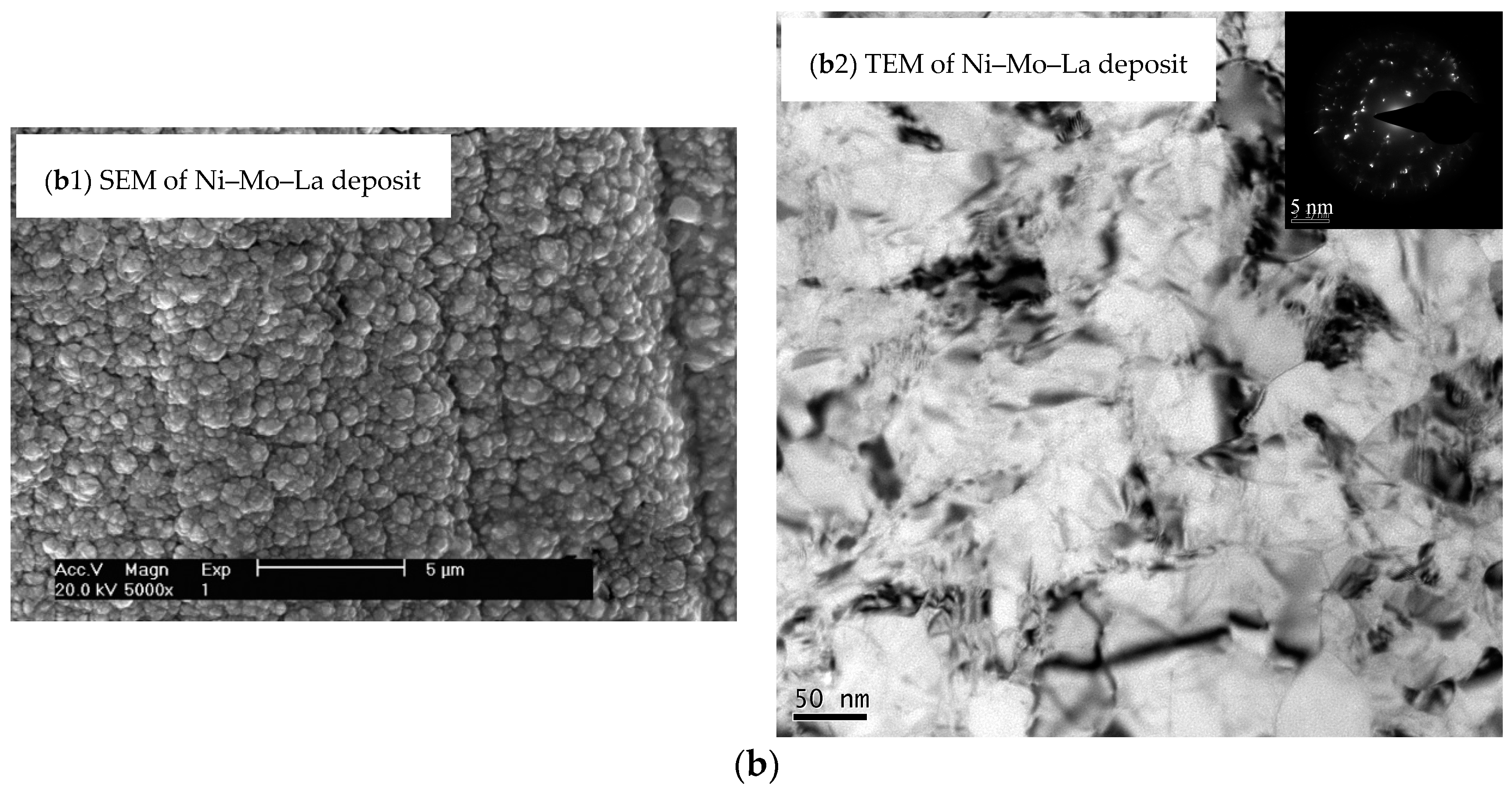 Coatings 08 00299 g002b