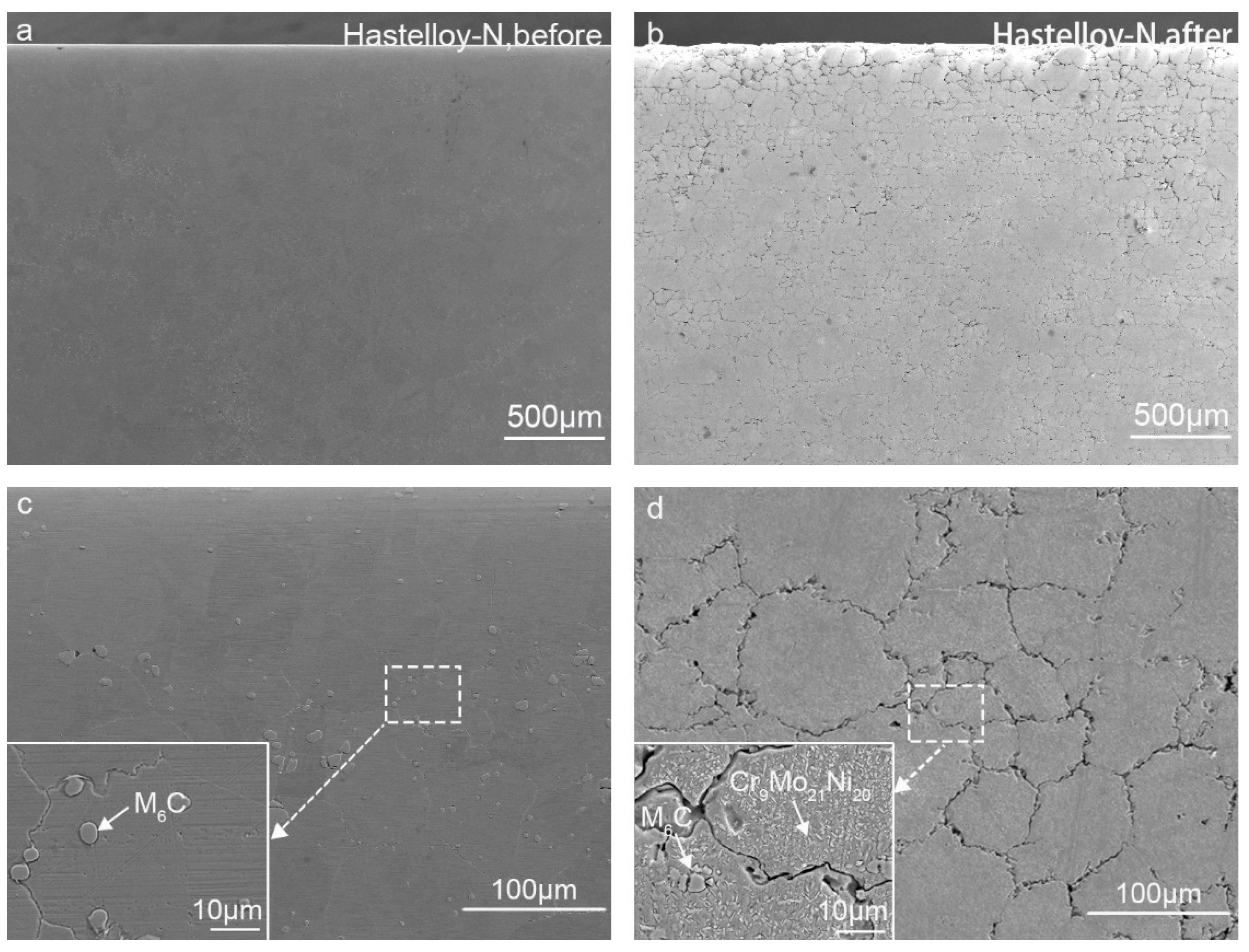 Coatings 08 00322 g005