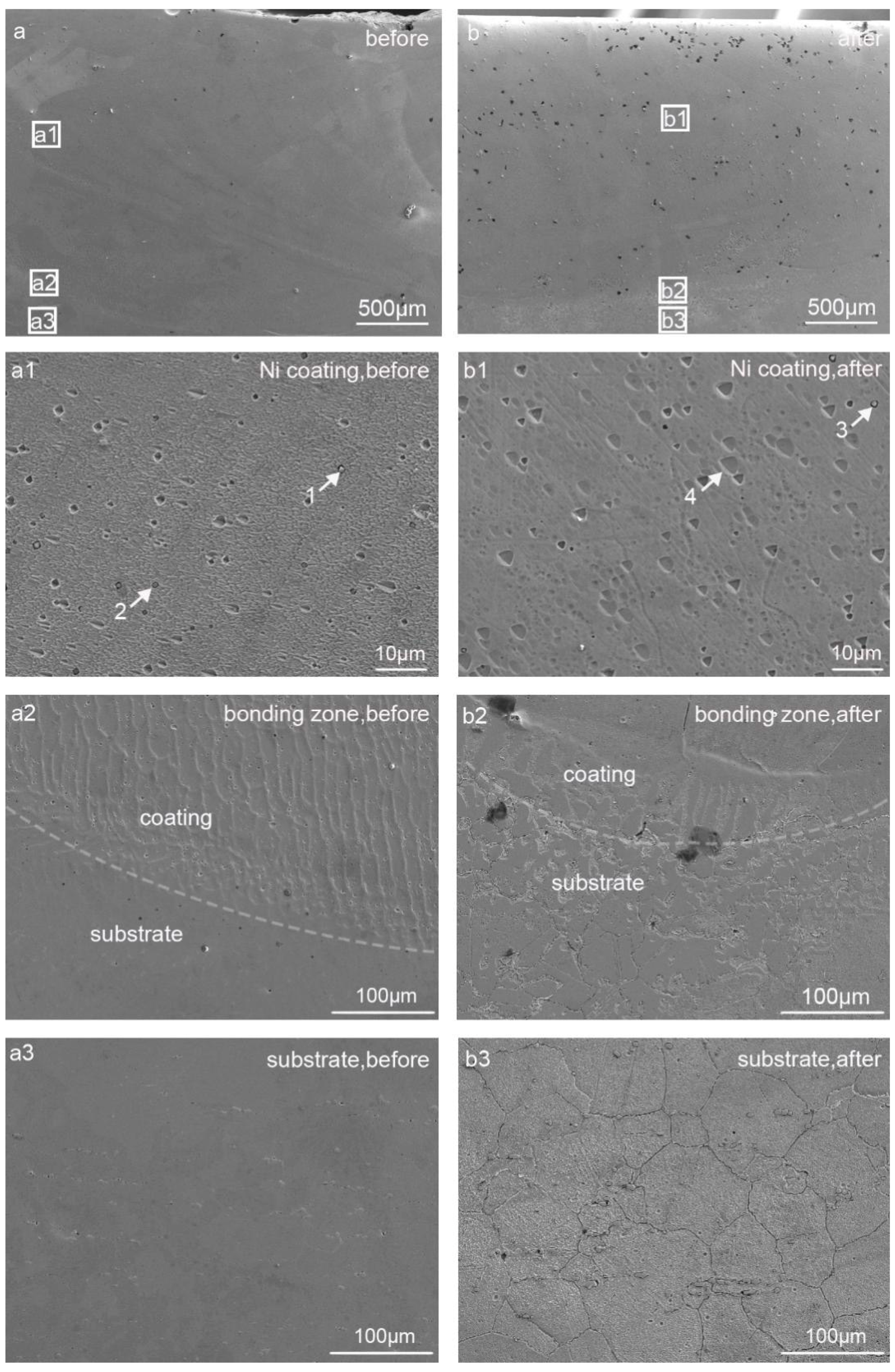 Coatings 08 00322 g006