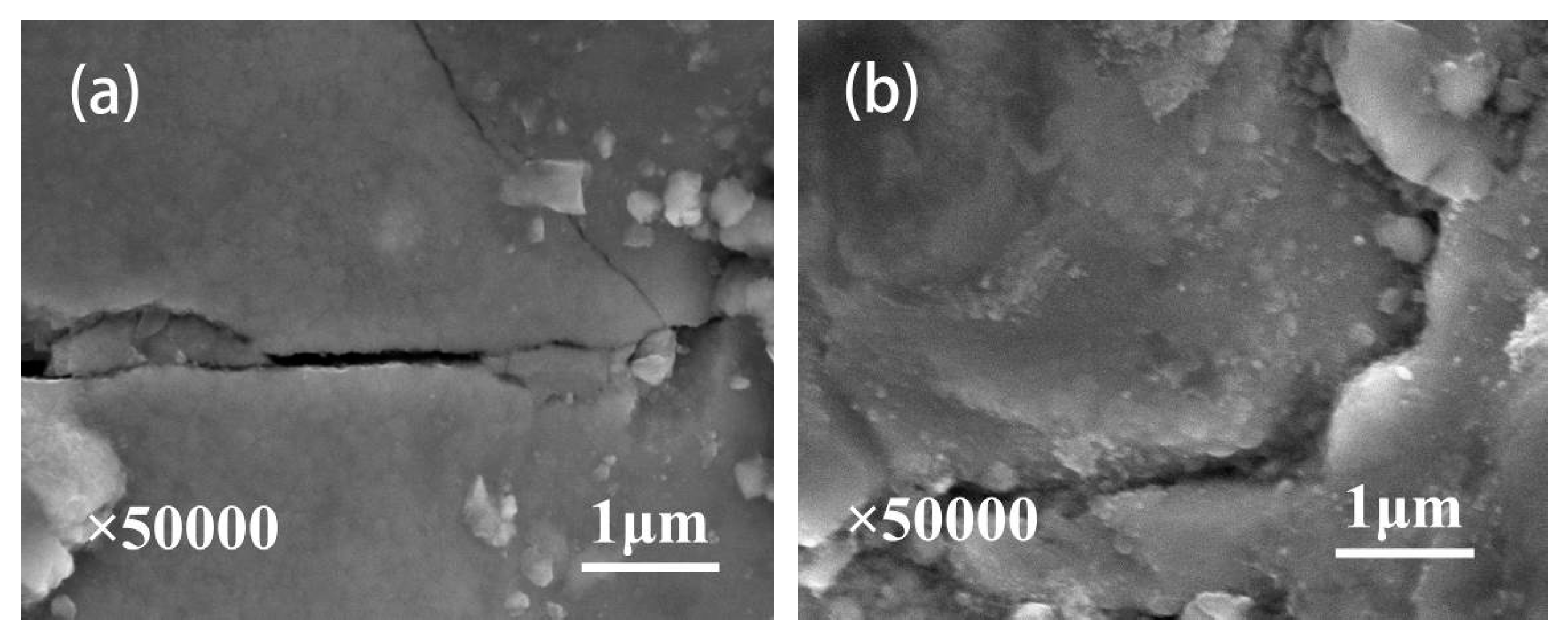 Coatings 08 00324 g006a