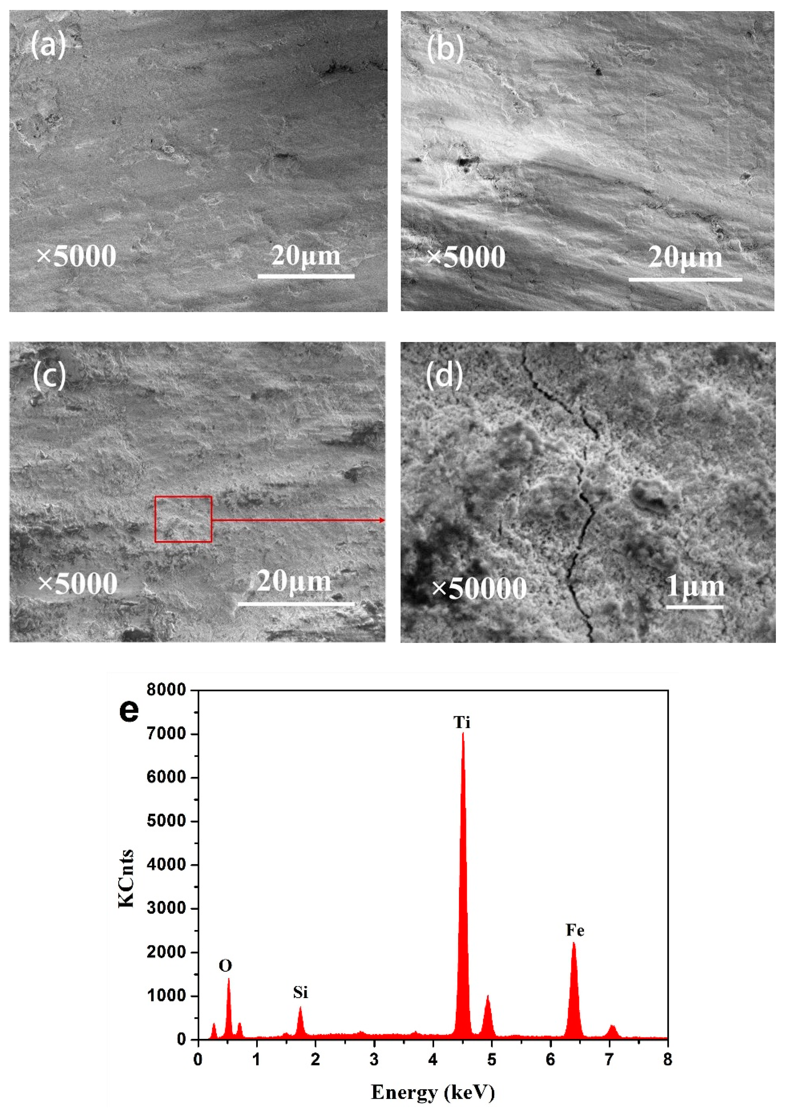 Coatings 08 00324 g010