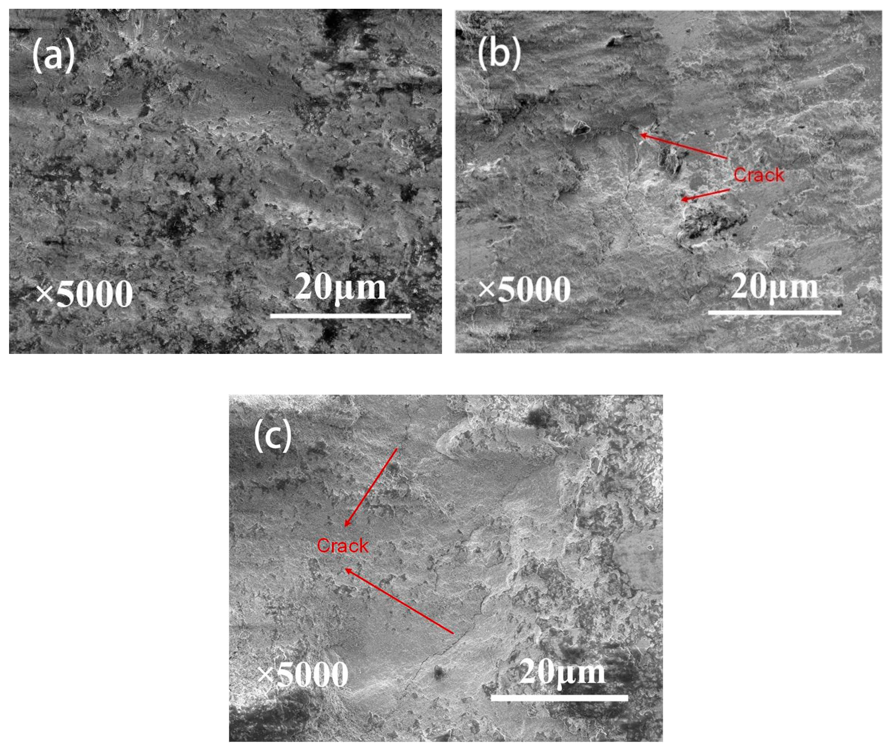 Coatings 08 00324 g011
