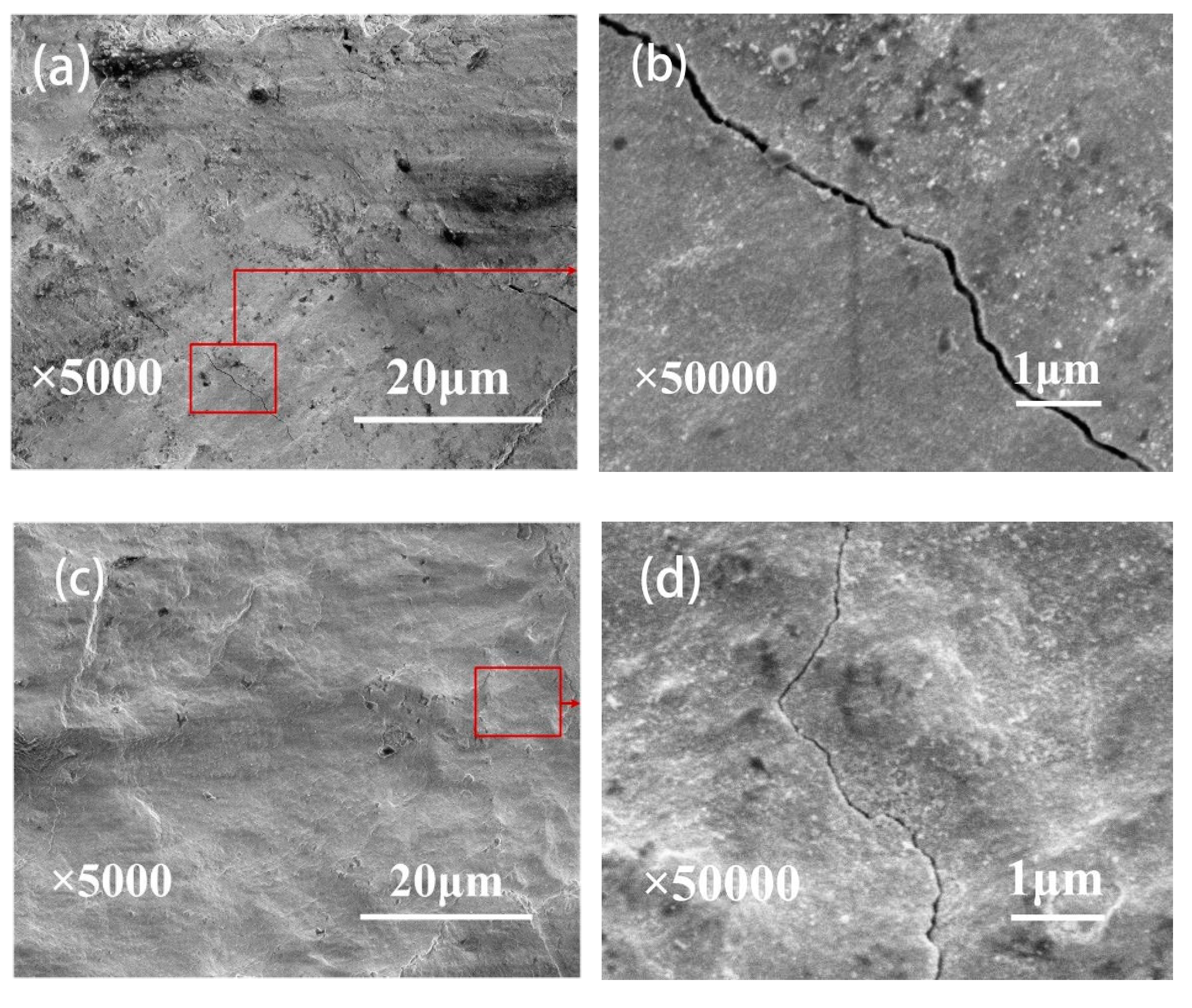 Coatings 08 00324 g012a