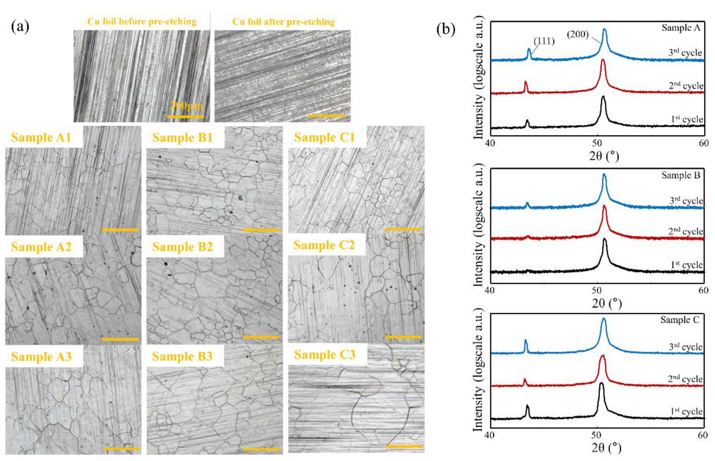 Coatings 08 00334 g002 Coatings 08 00334 g002