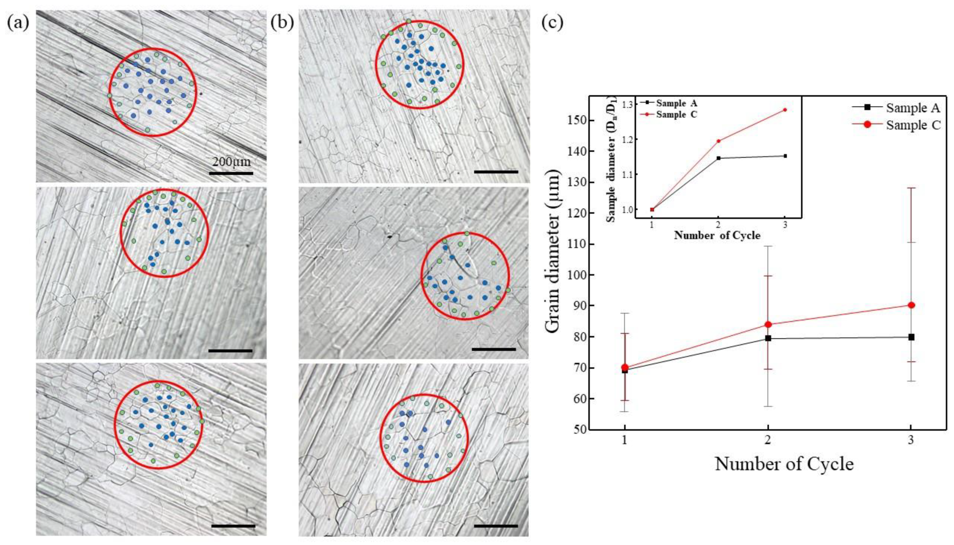 Coatings 08 00334 g003 Coatings 08 00334 g003