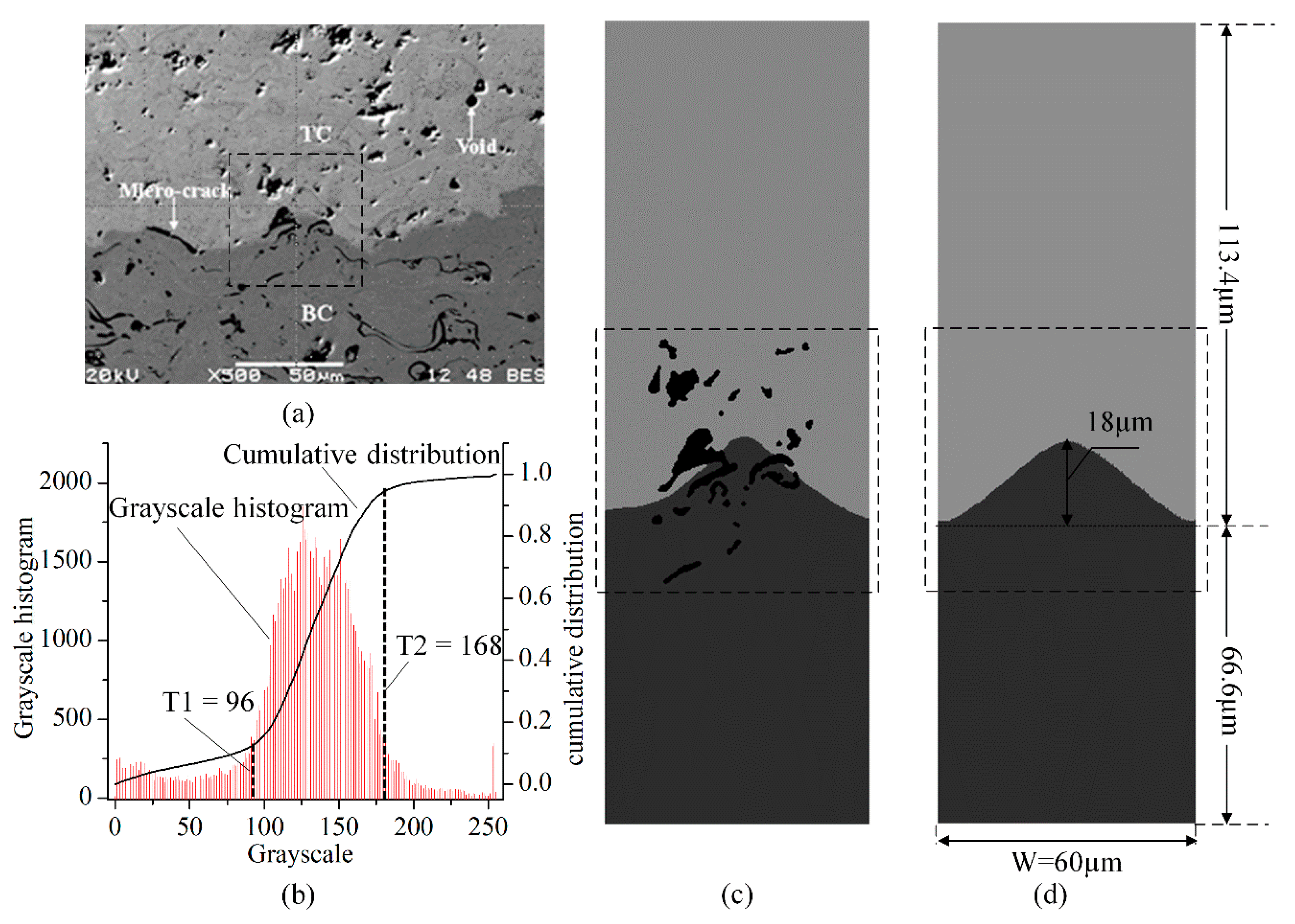 Coatings 08 00338 g001