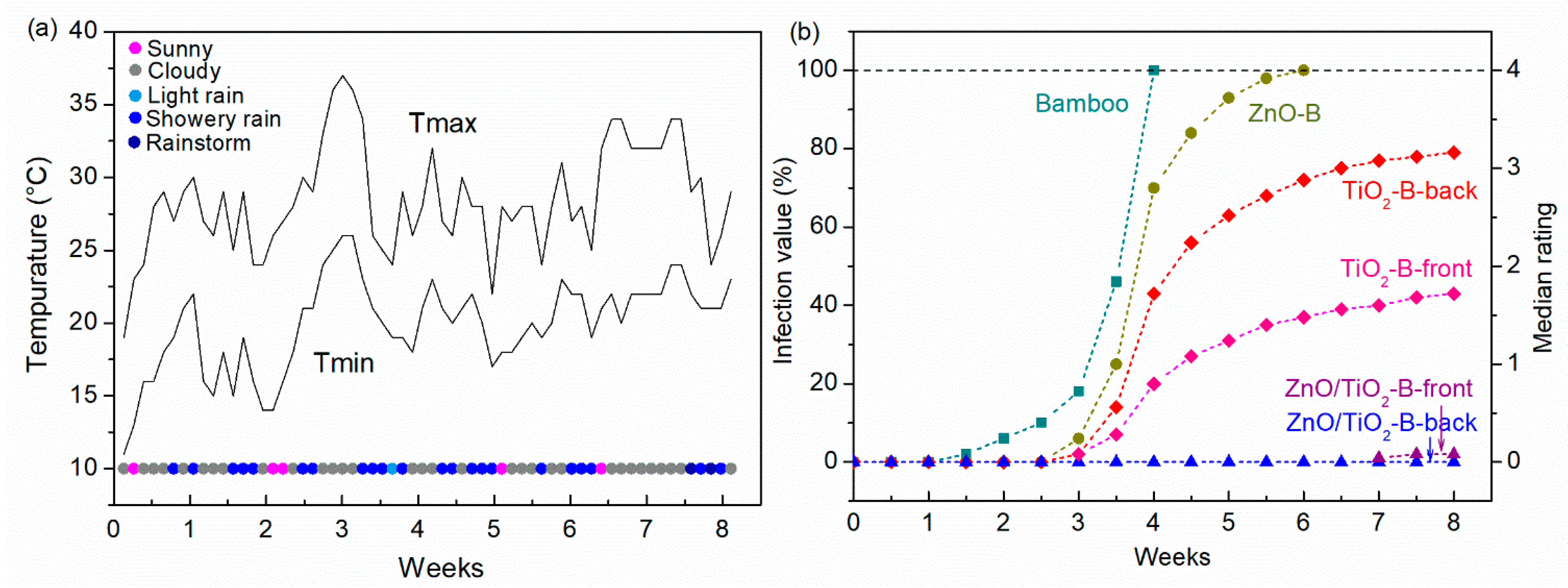 Coatings 08 00341 g004