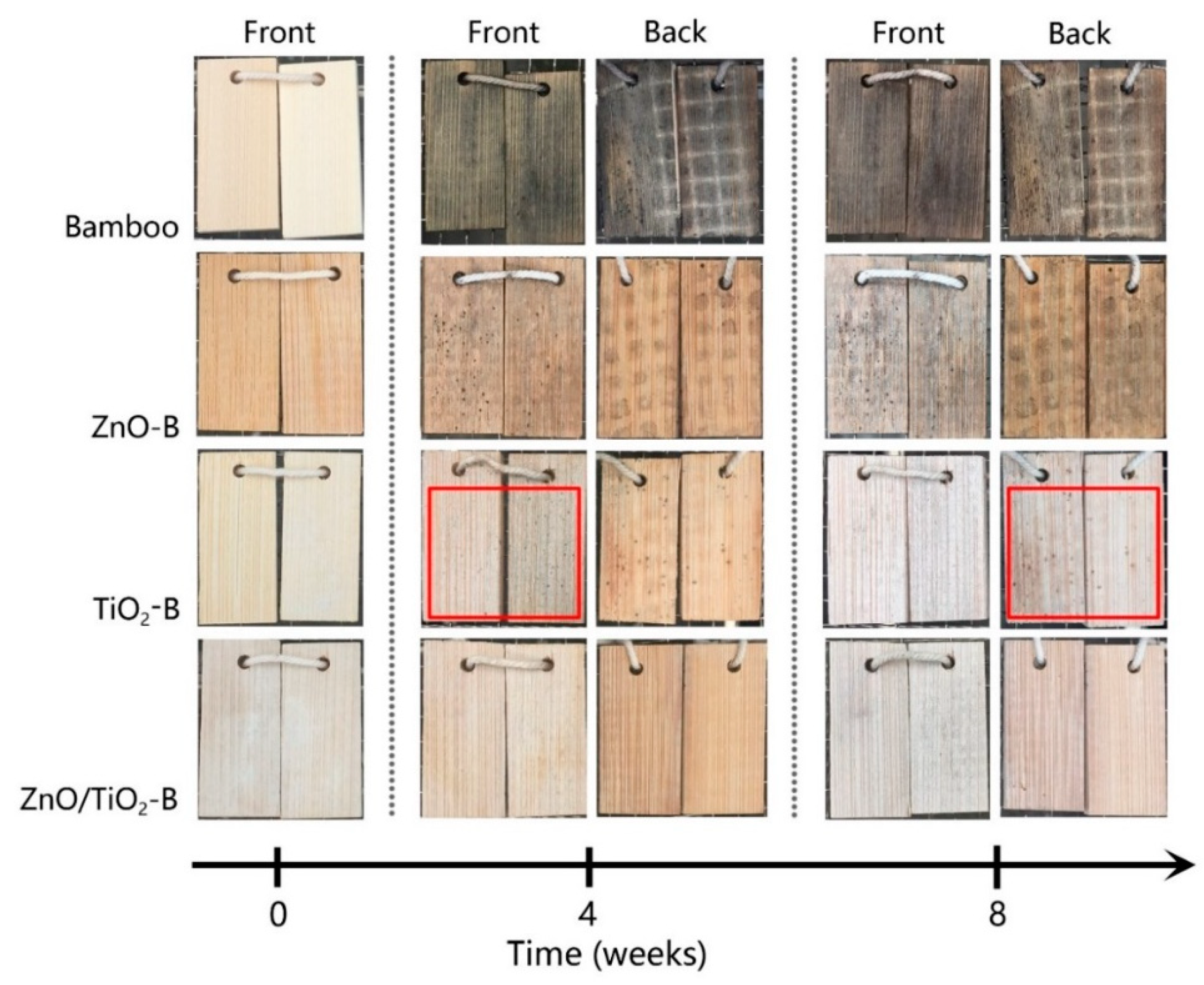 Coatings 08 00341 g005