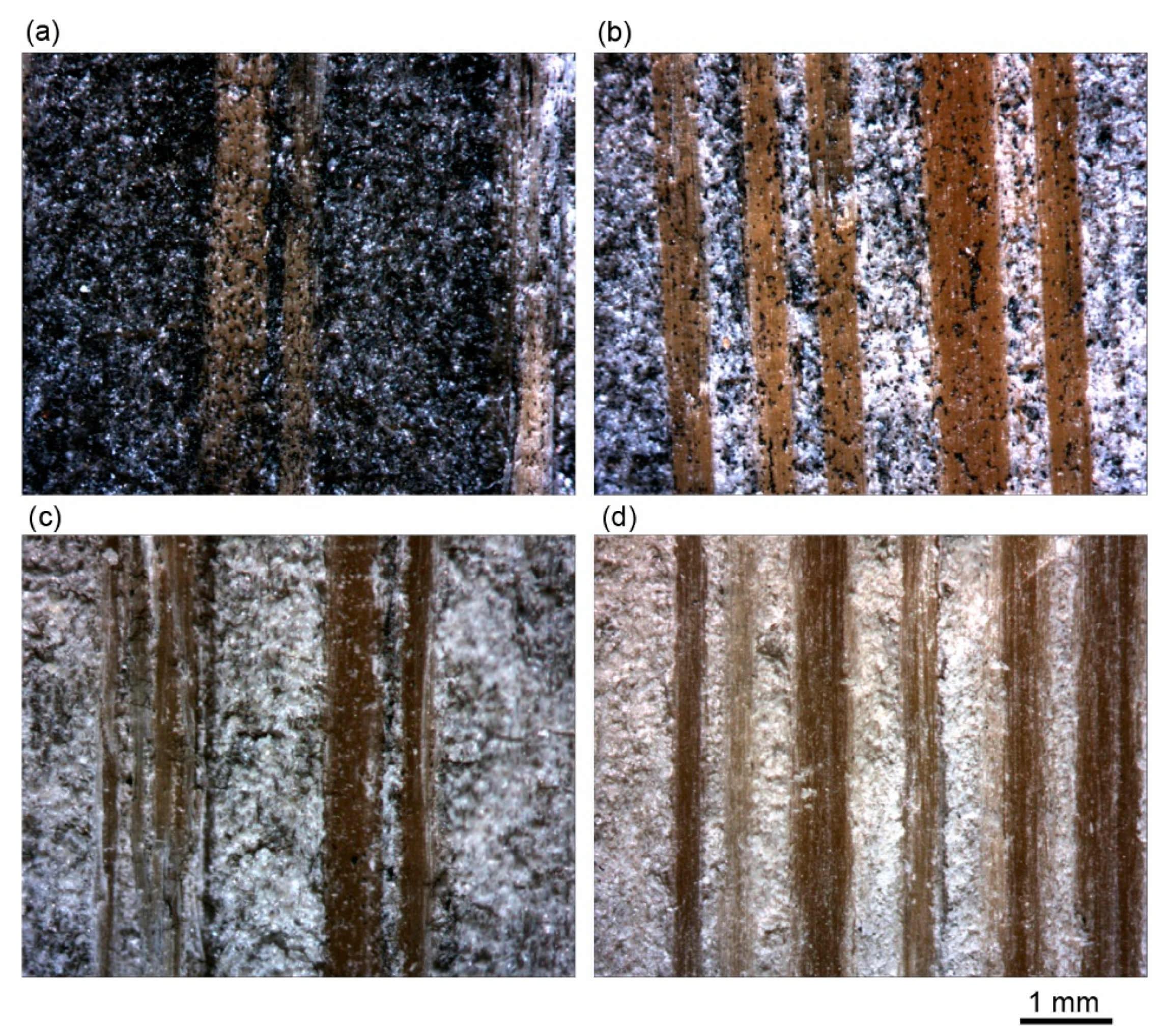 Coatings 08 00341 g006