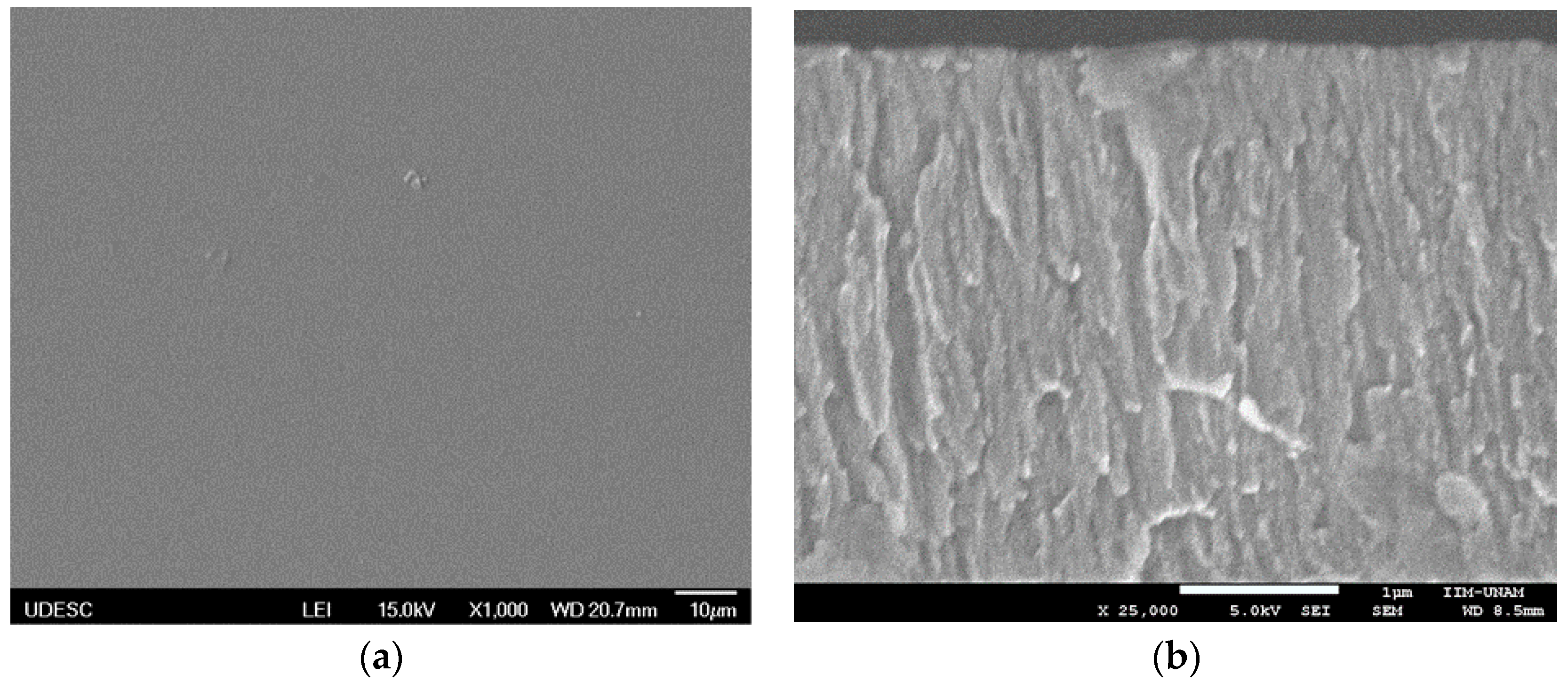 Coatings 08 00381 g003