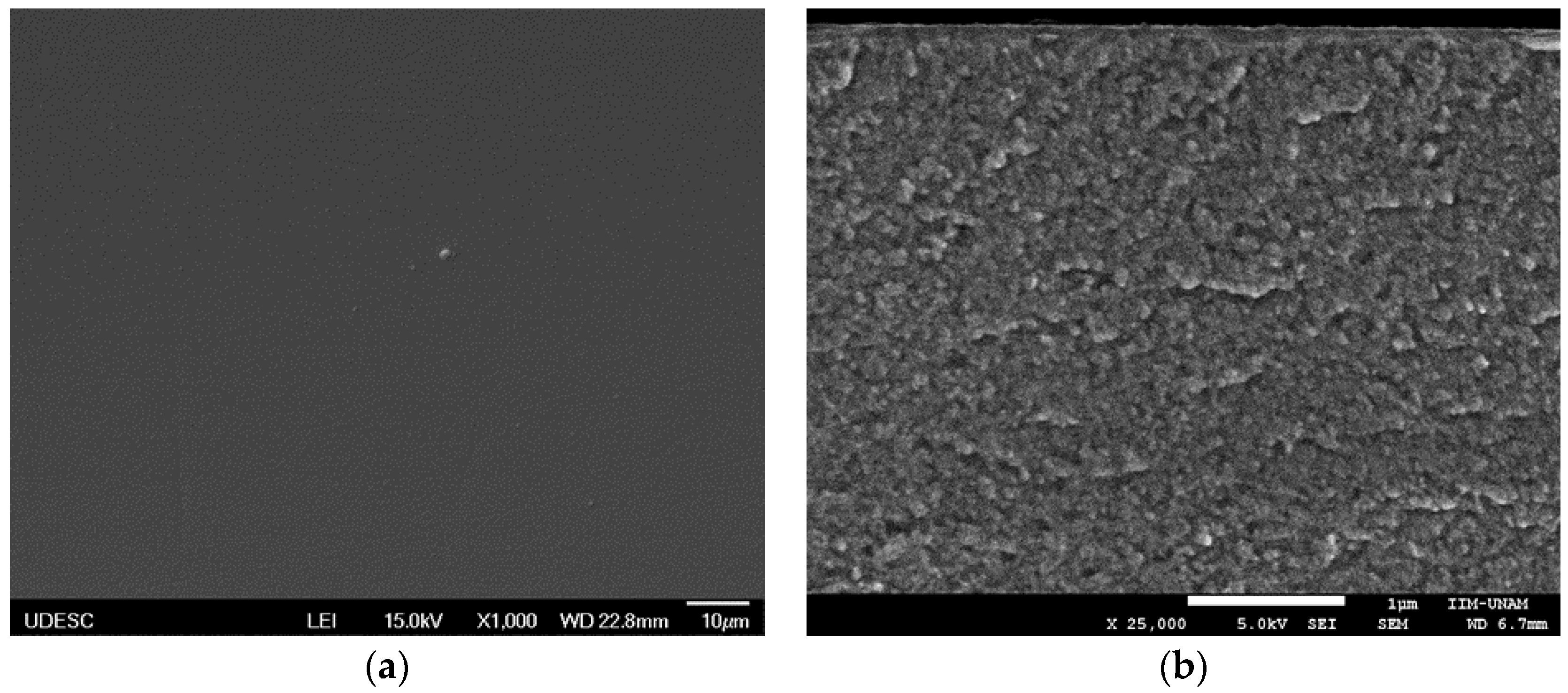 Coatings 08 00381 g004