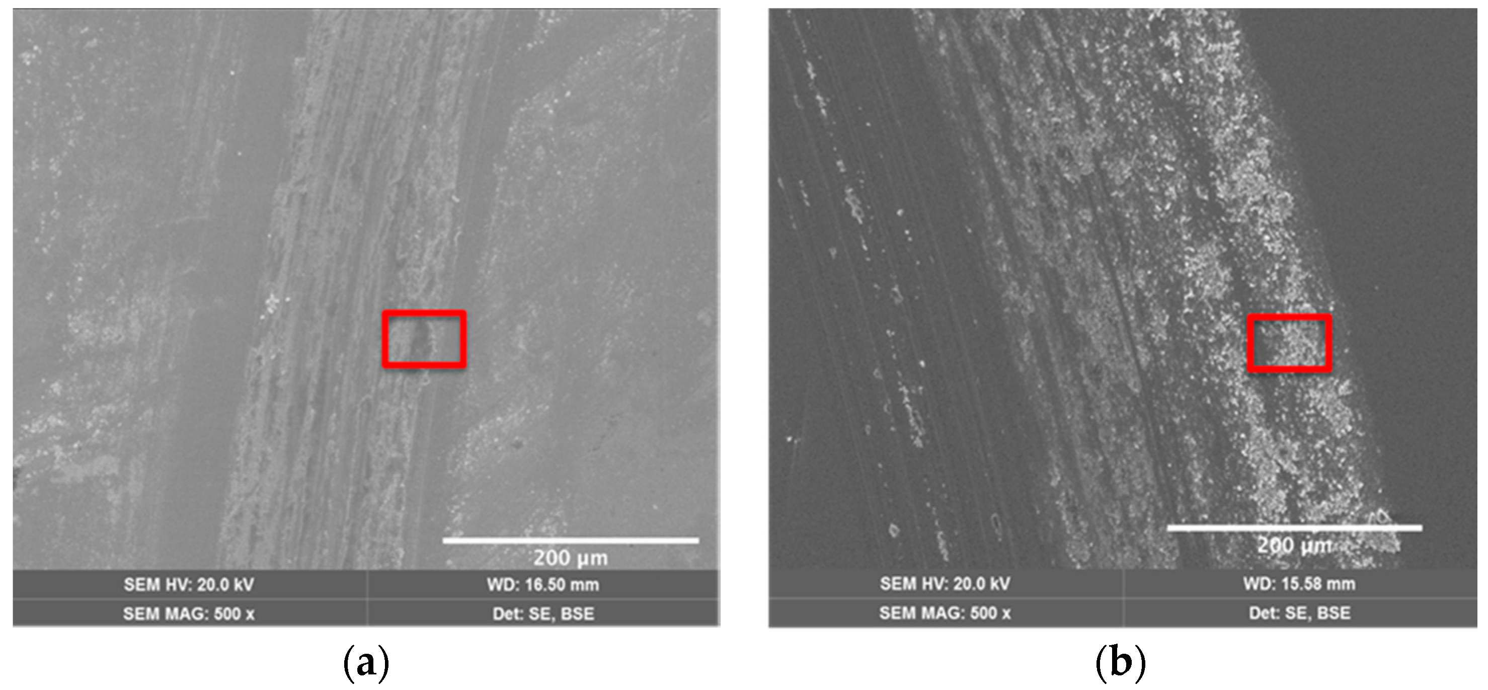 Coatings 08 00381 g009