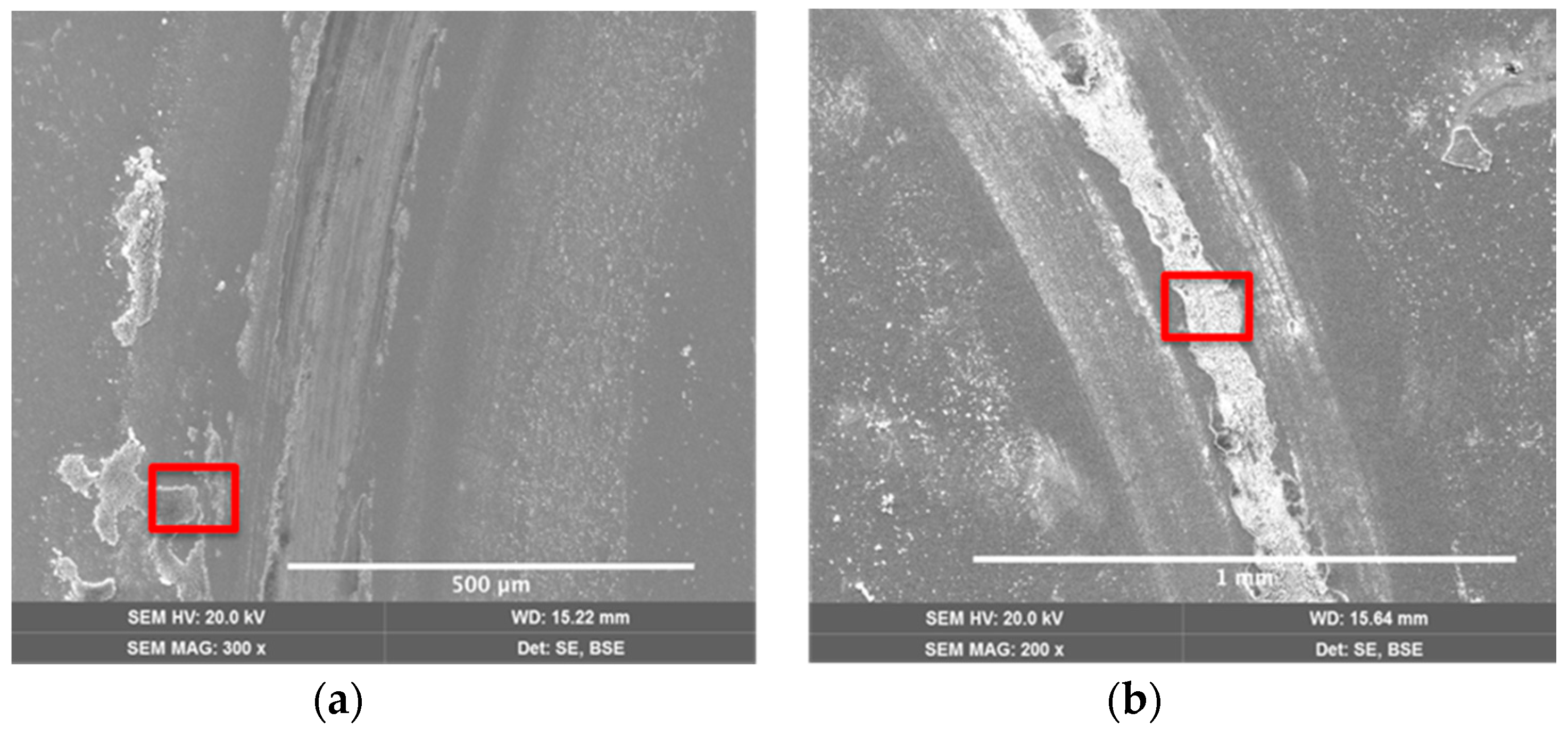 Coatings 08 00381 g010