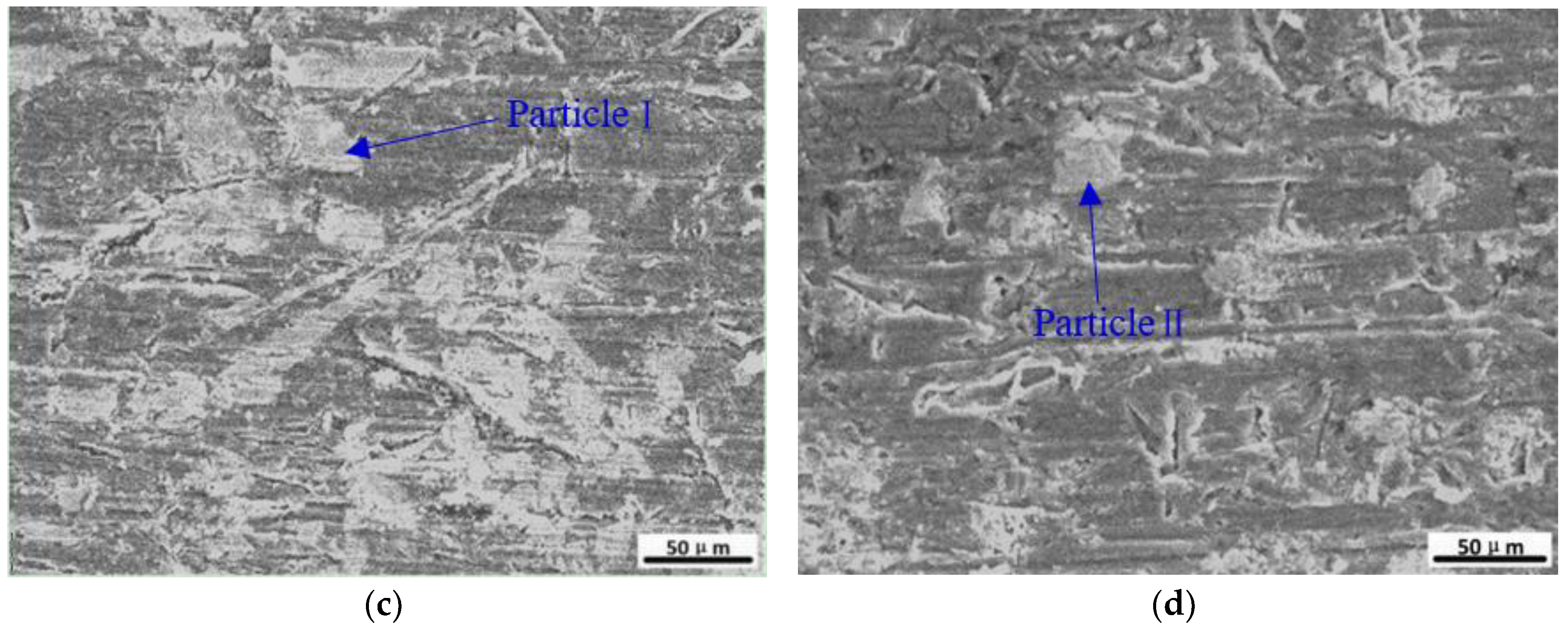 Coatings 08 00382 g014b