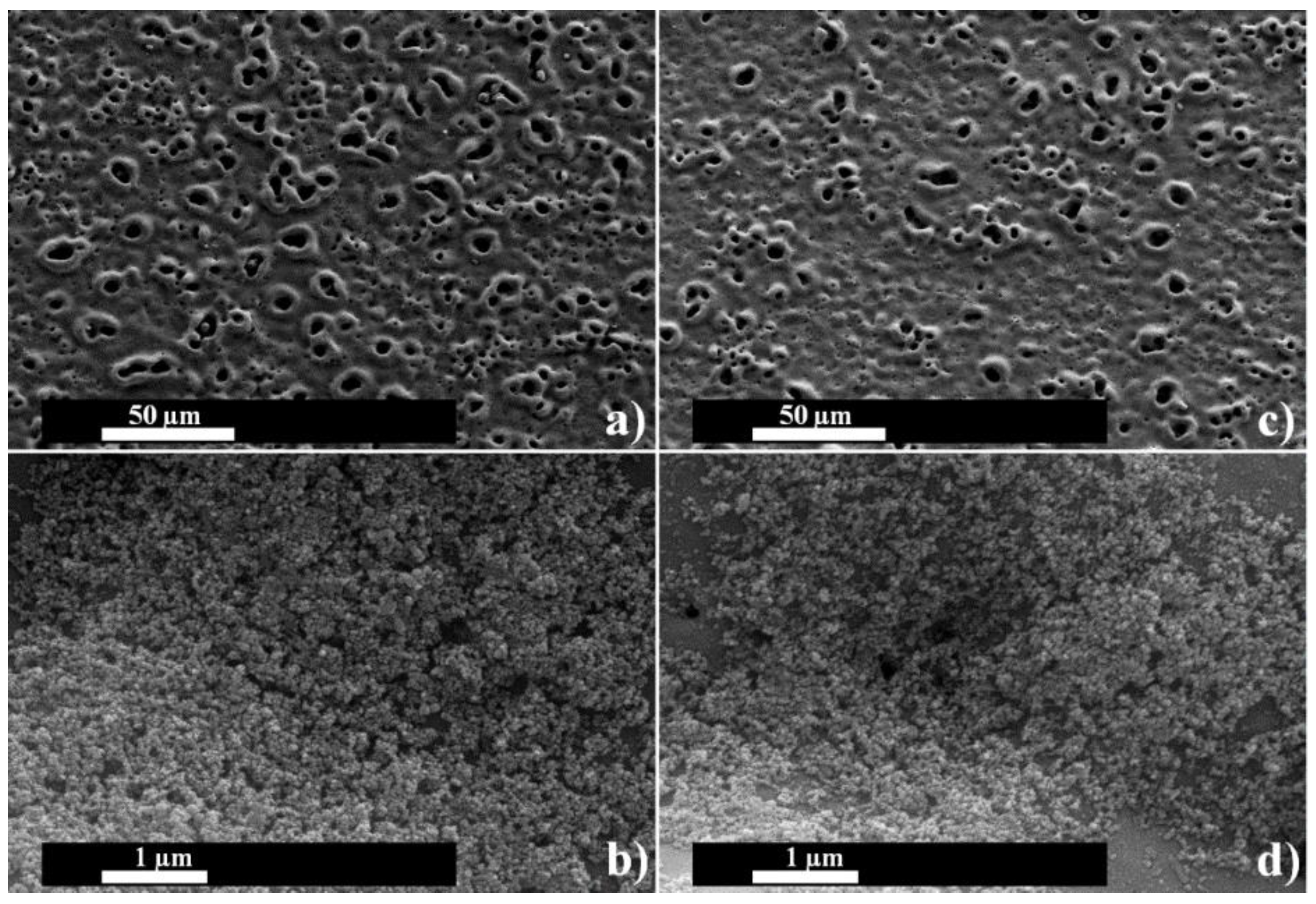 Coatings 09 00001 g004
