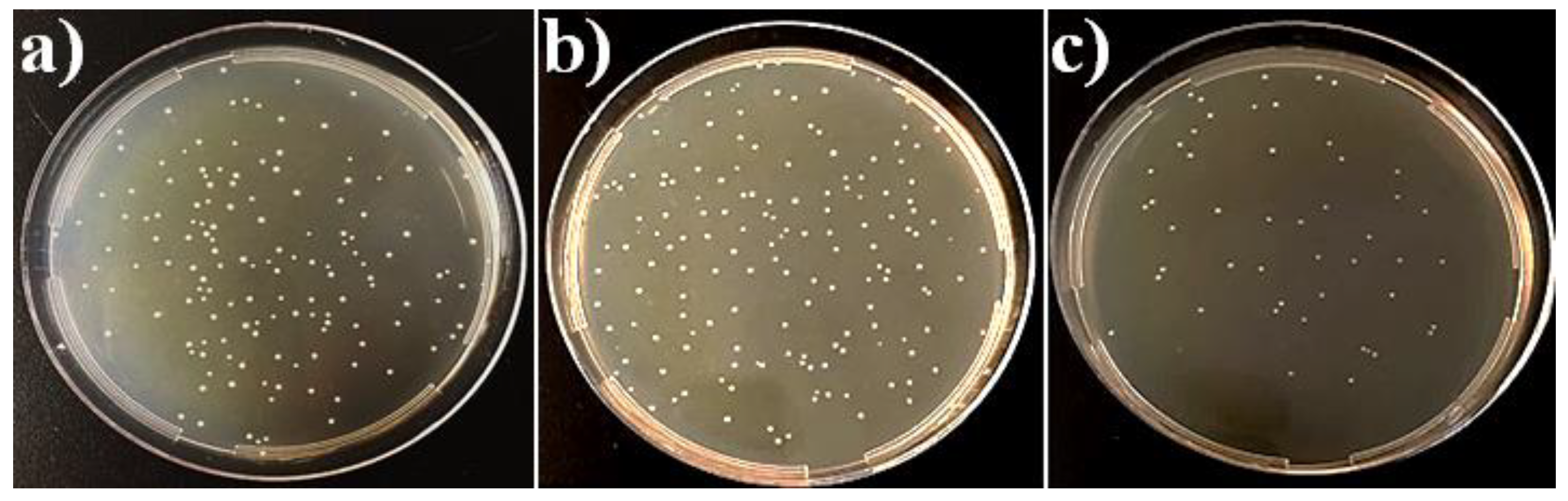 Coatings 09 00001 g008