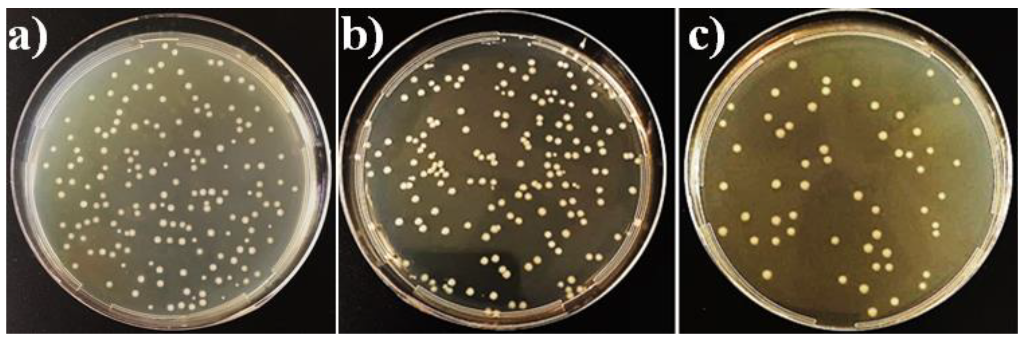 Coatings 09 00001 g009