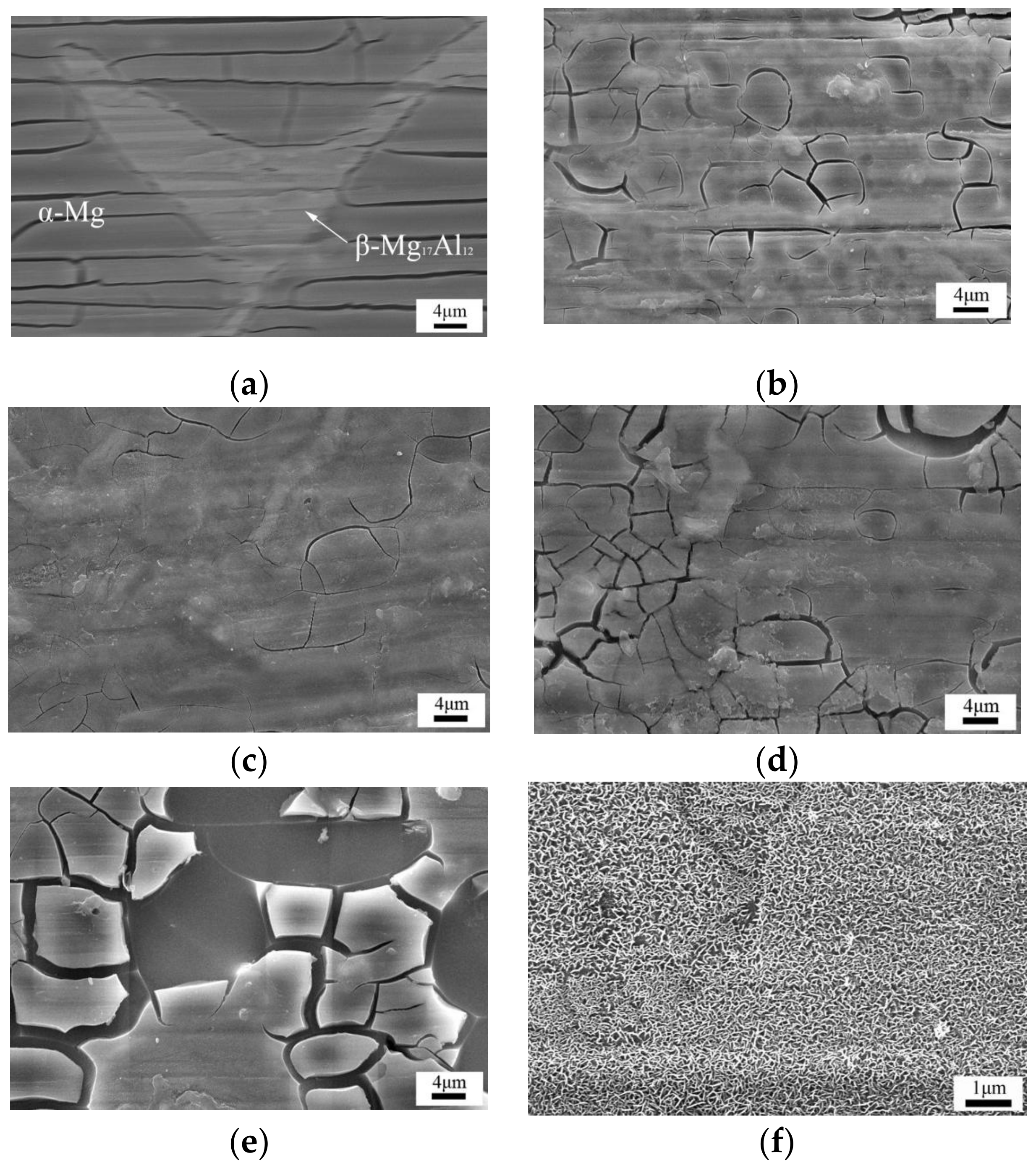 Coatings 09 00047 g002