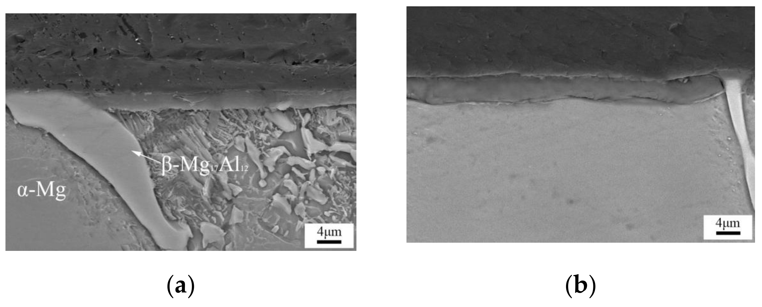 Coatings 09 00047 g003a