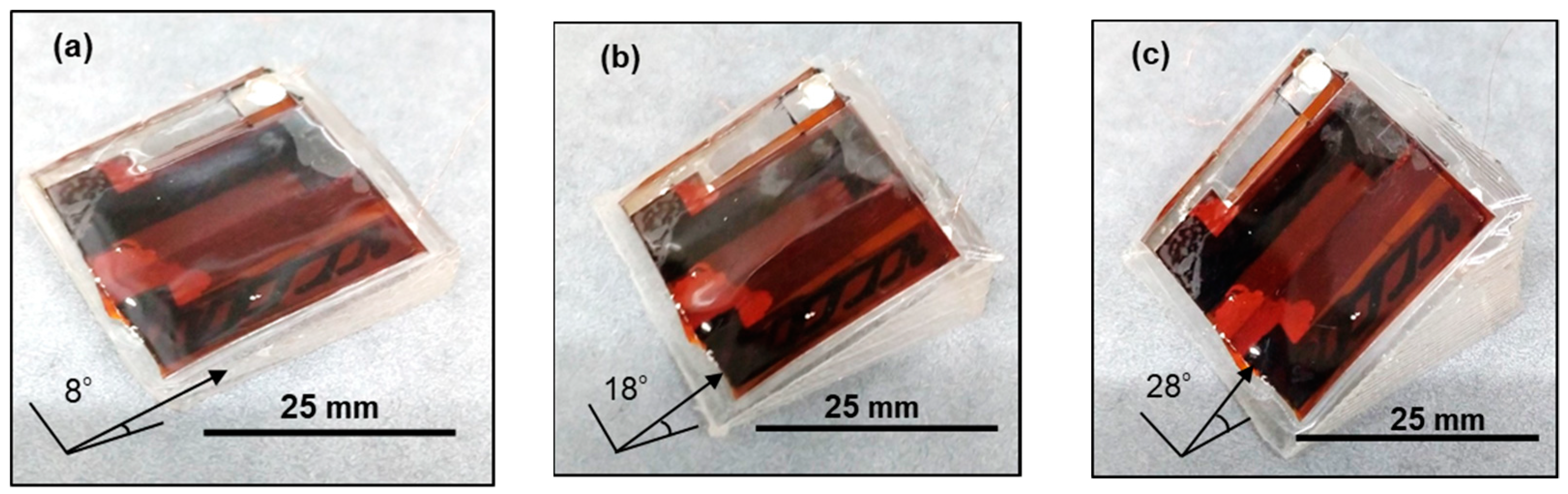 Coatings 09 00063 g002