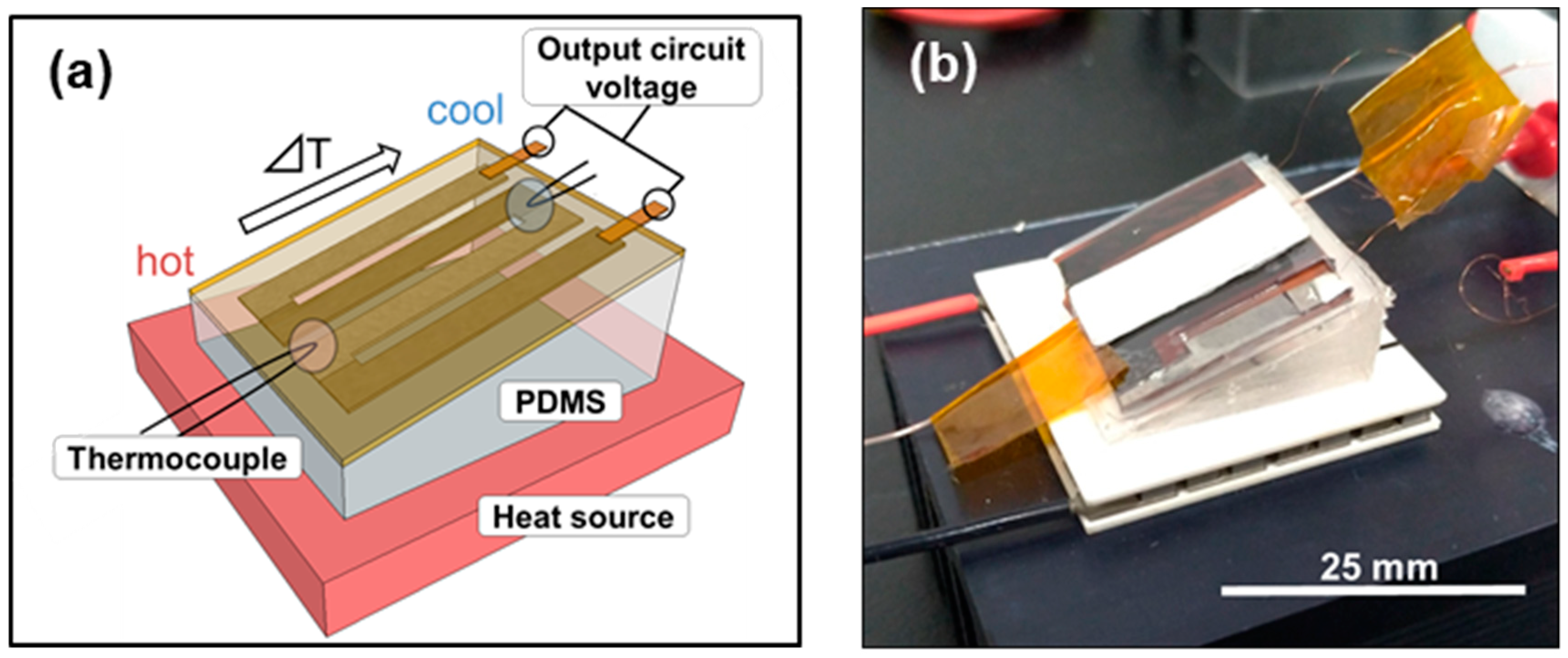 Coatings 09 00063 g003