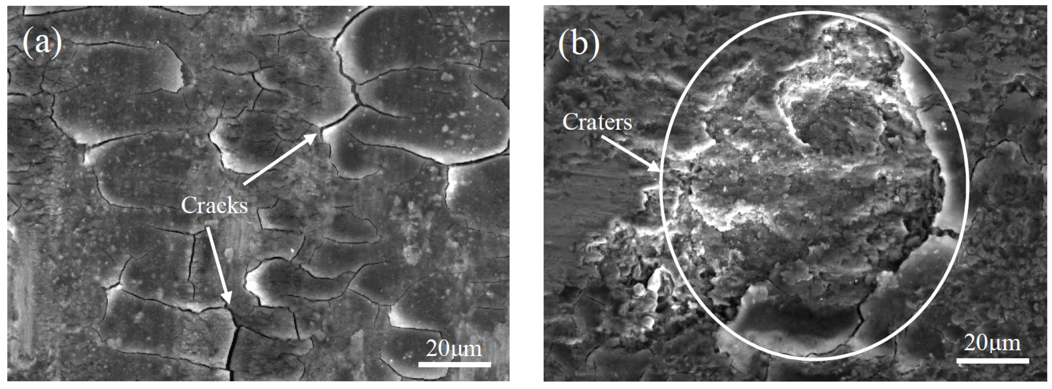 Coatings 09 00109 g014