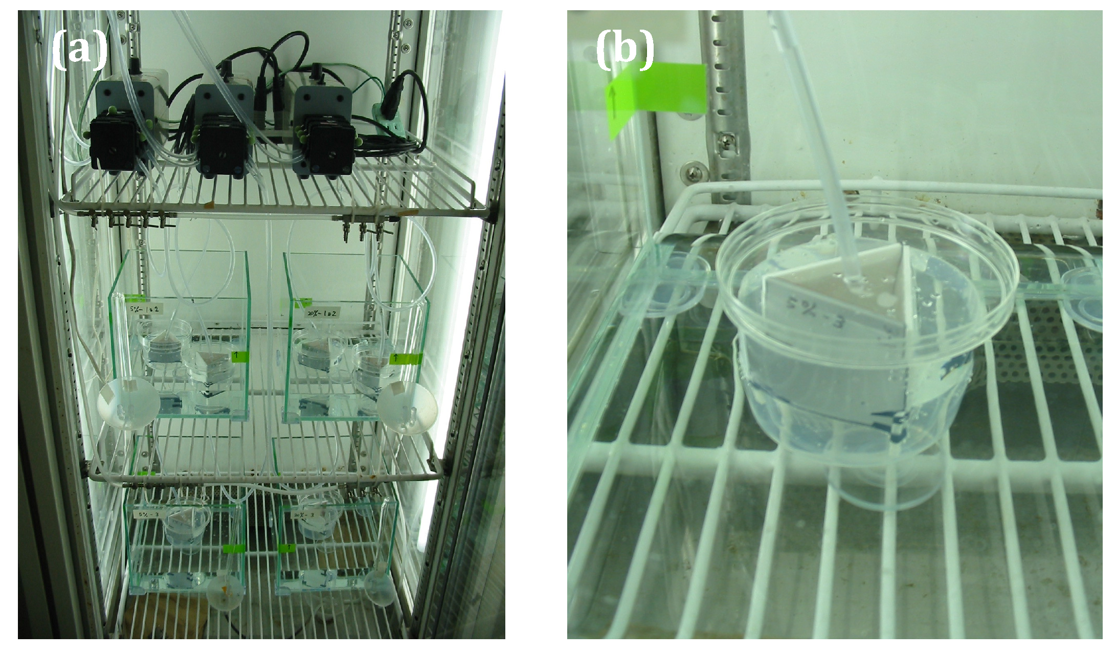 Coatings 09 00112 g003