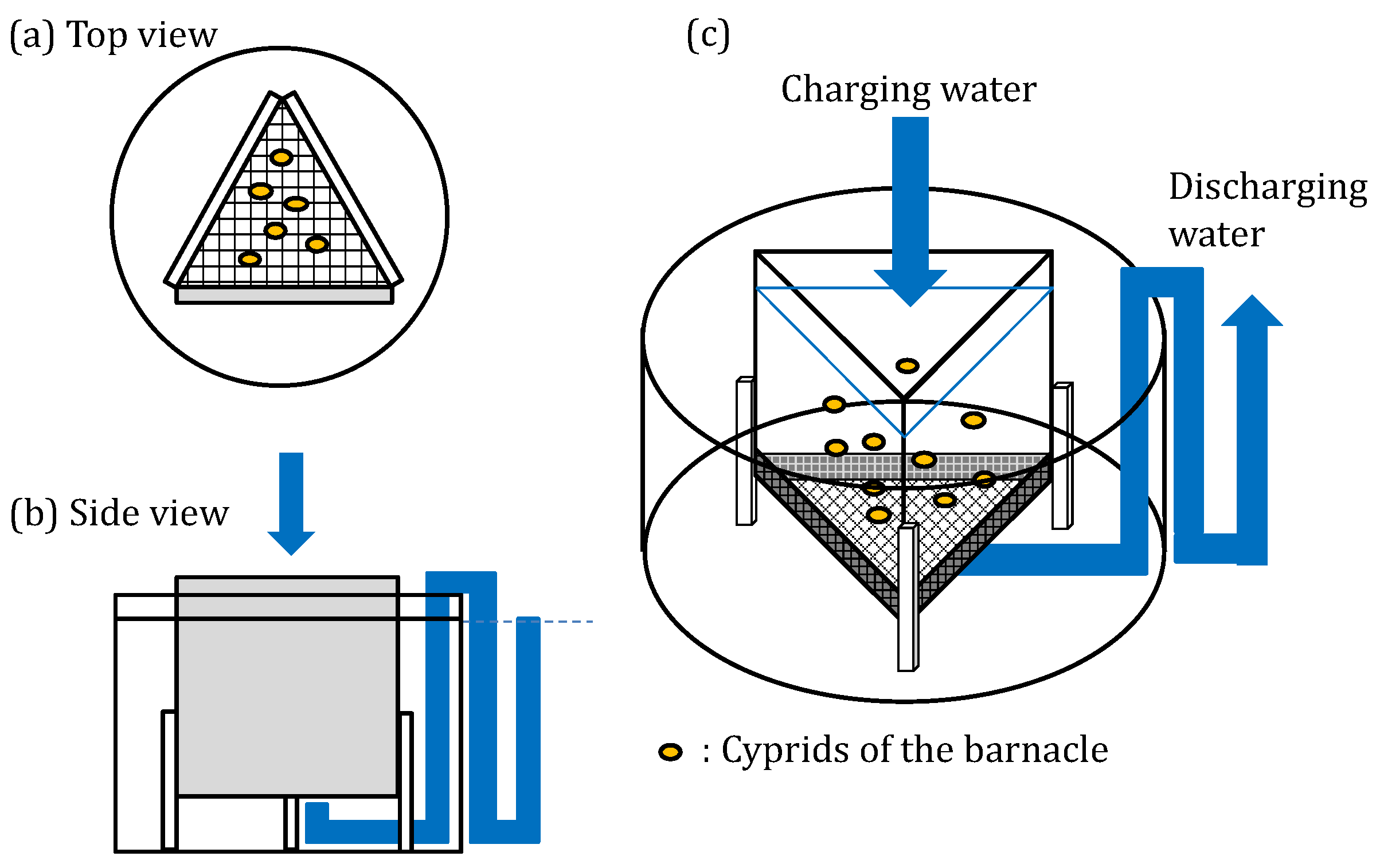Coatings 09 00112 g004