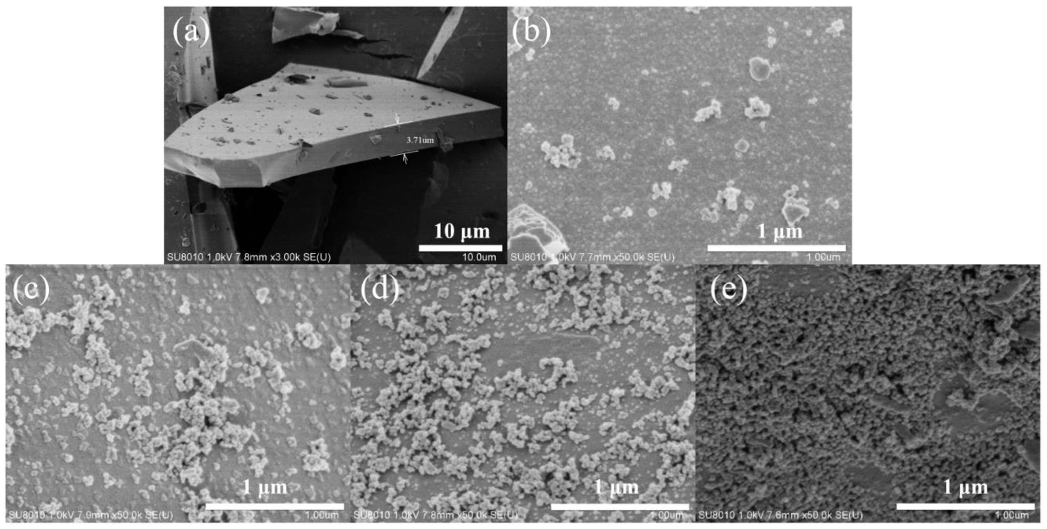 Coatings 09 00154 g001