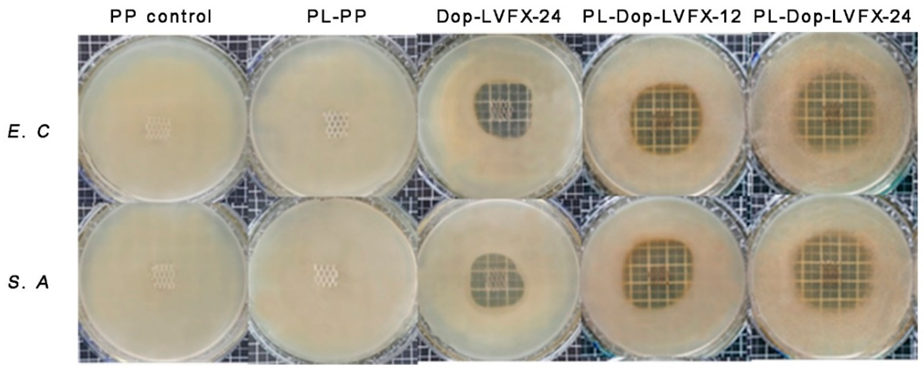 Coatings 09 00164 g007
