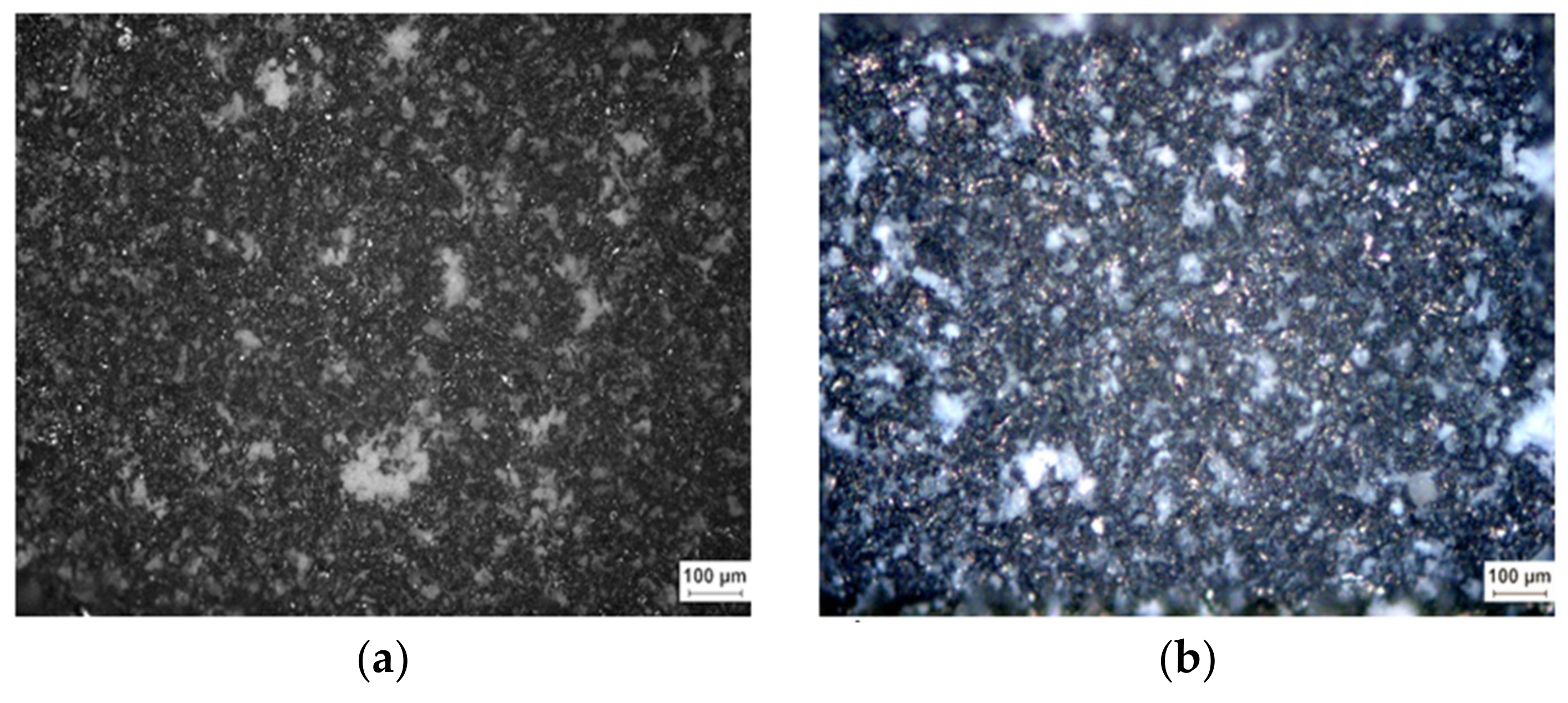 Coatings 09 00223 g002a