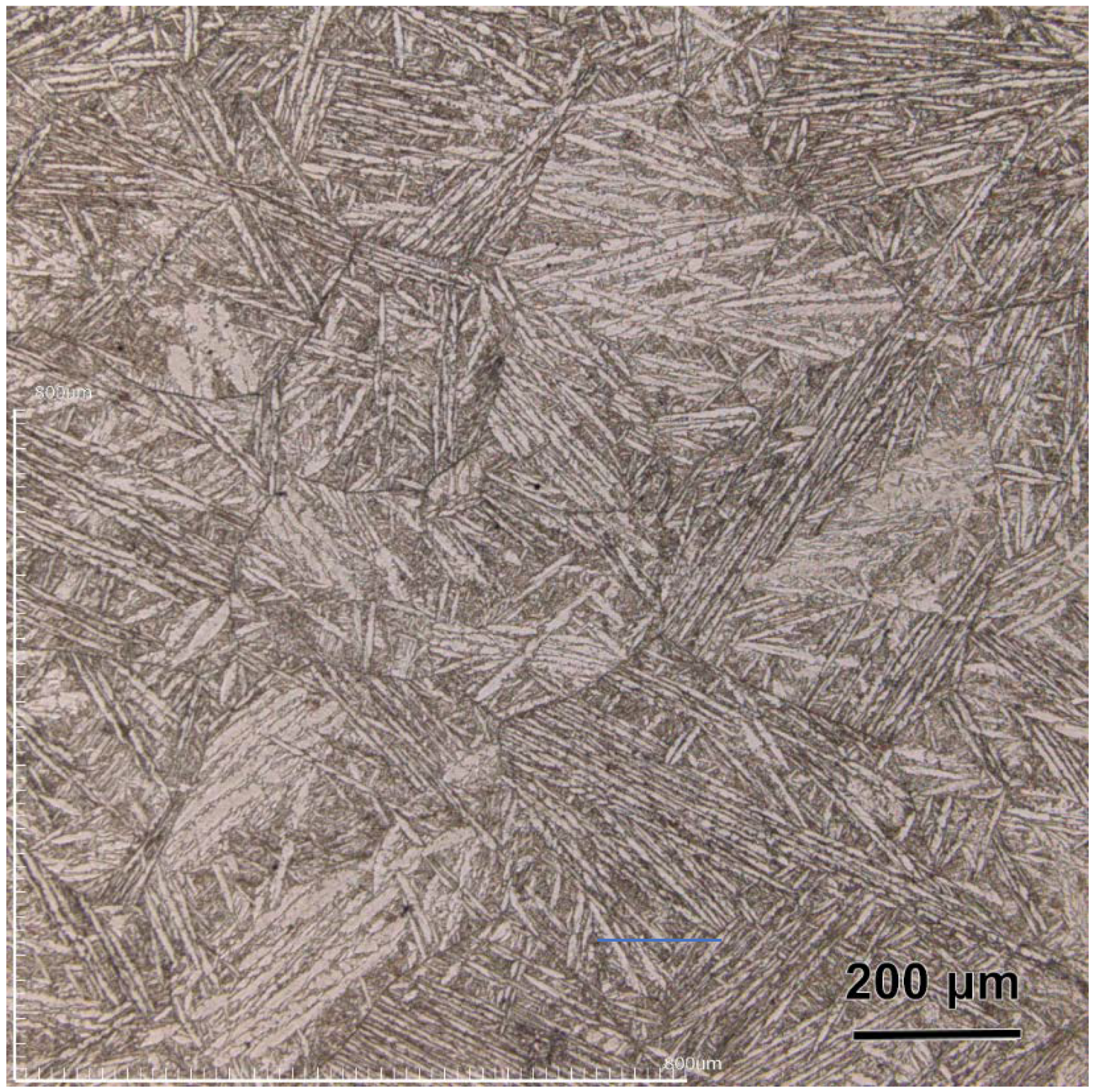 Coatings 09 00224 g001