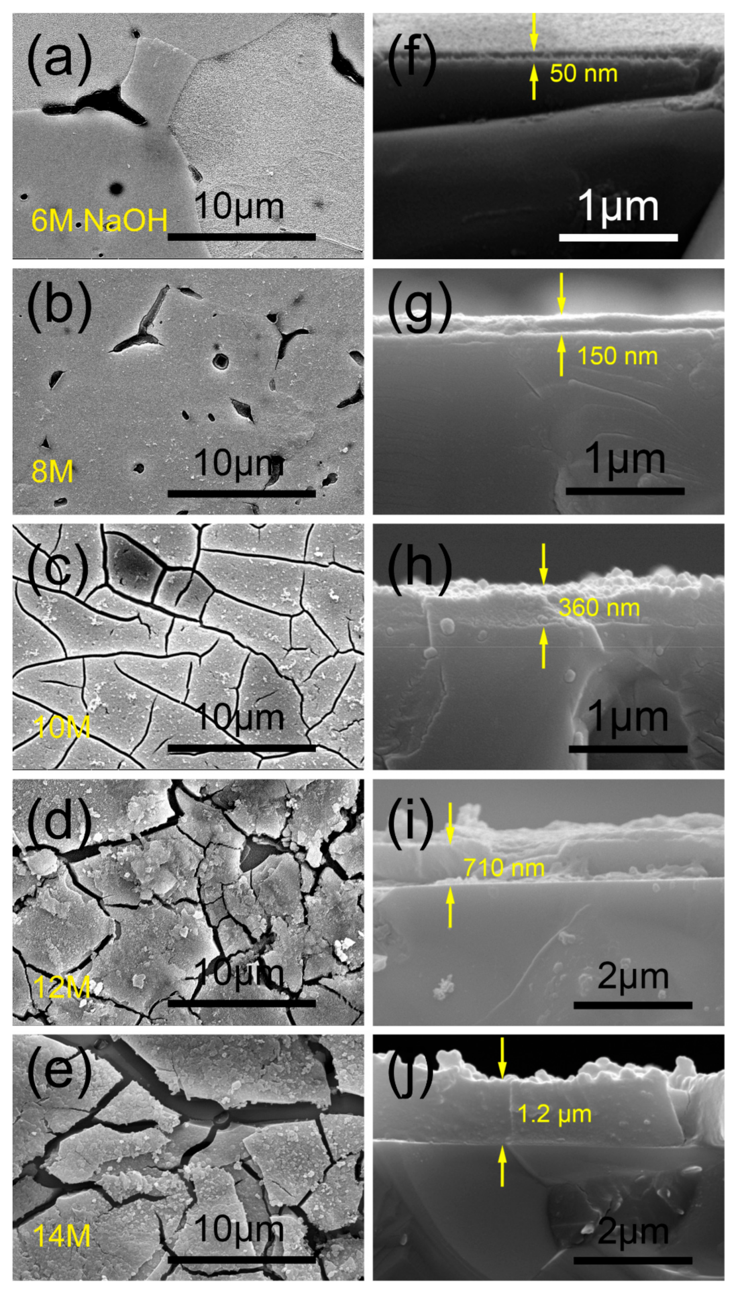 Coatings 09 00455 g002