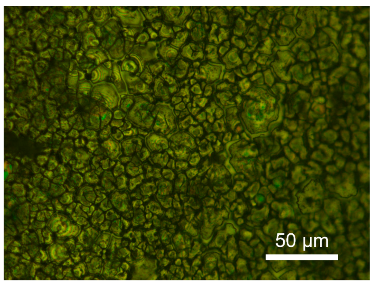 Coatings 09 00455 g006