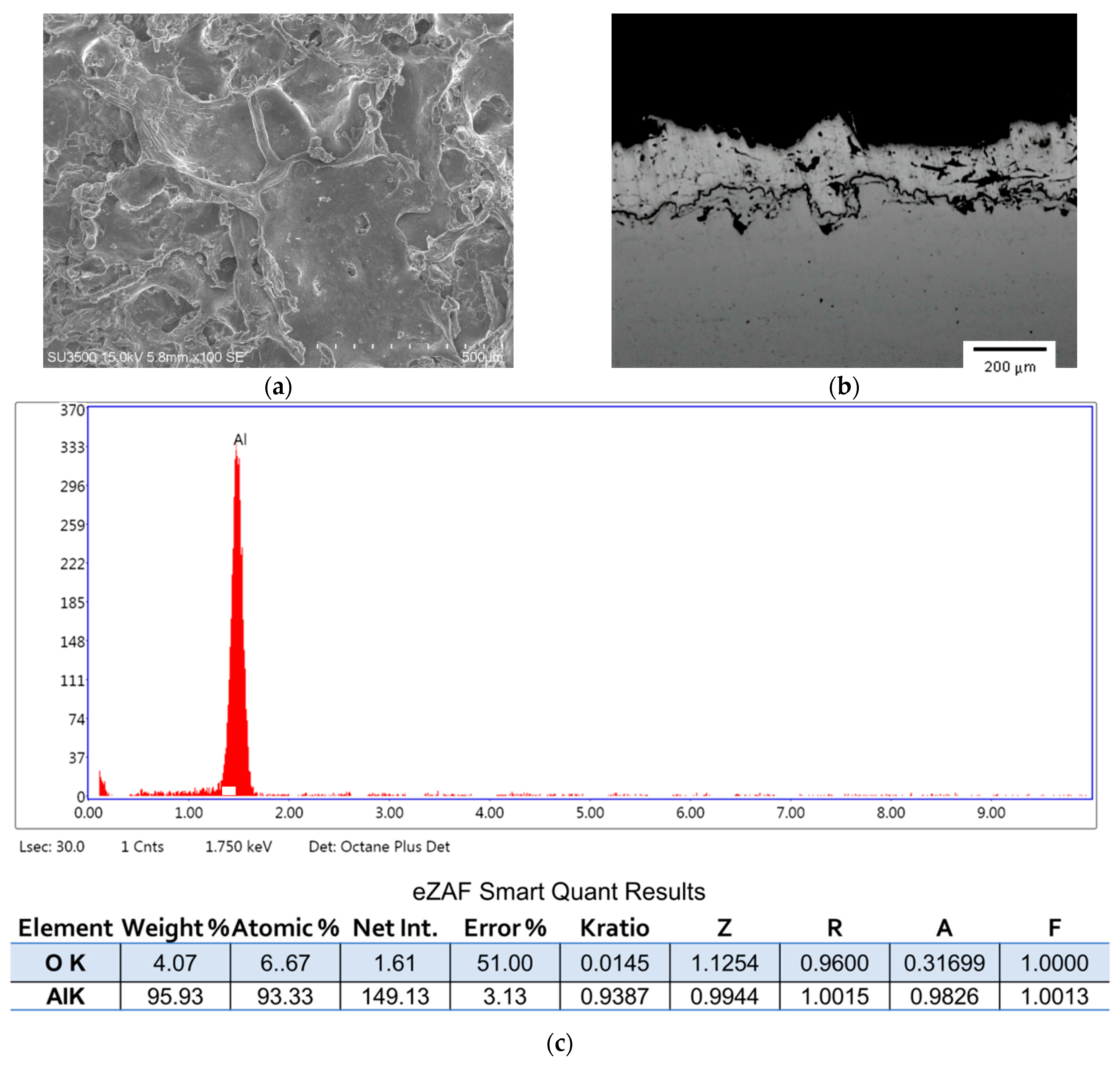 Coatings 09 00495 g001