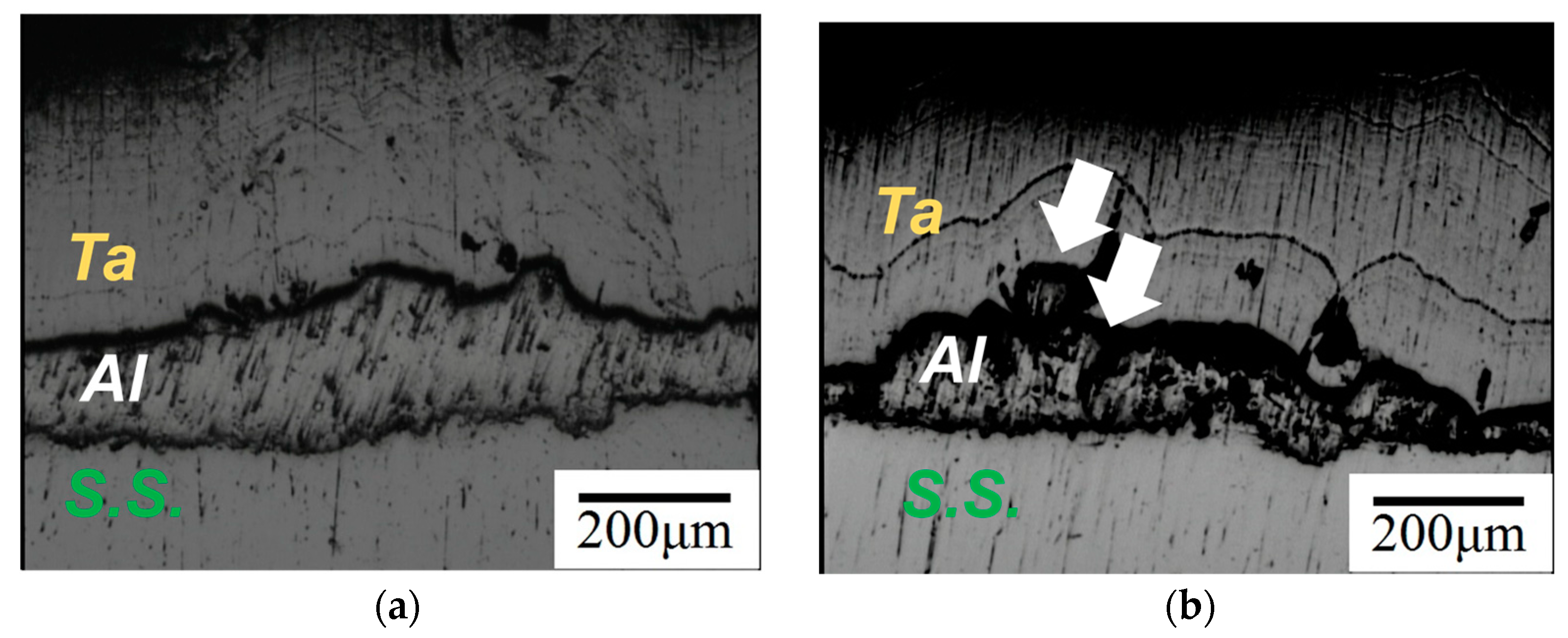 Coatings 09 00495 g003