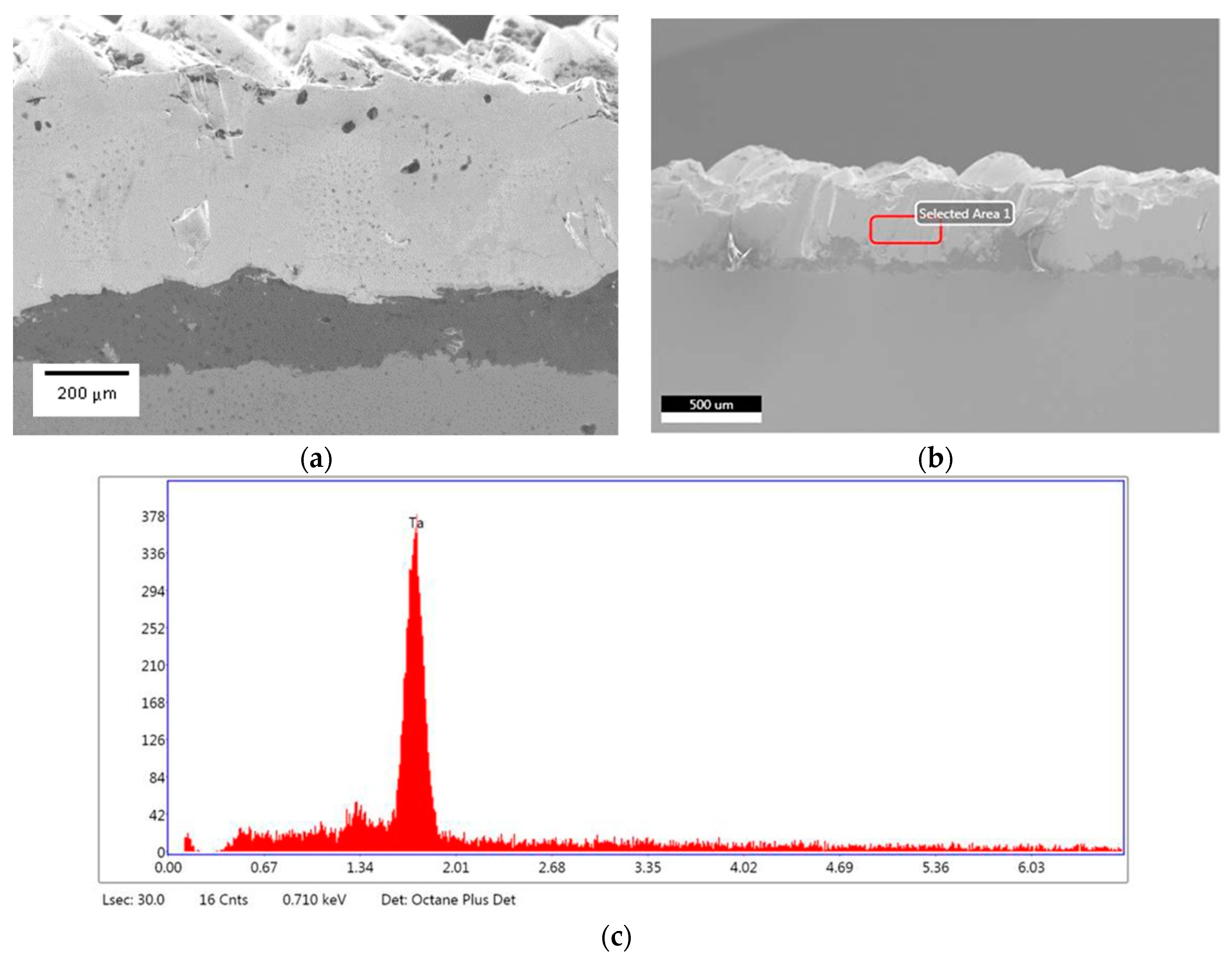 Coatings 09 00495 g004