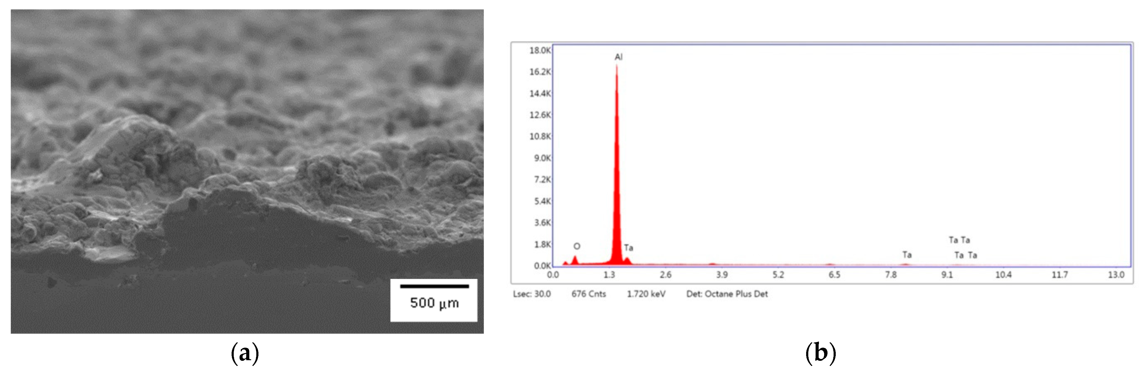 Coatings 09 00495 g005