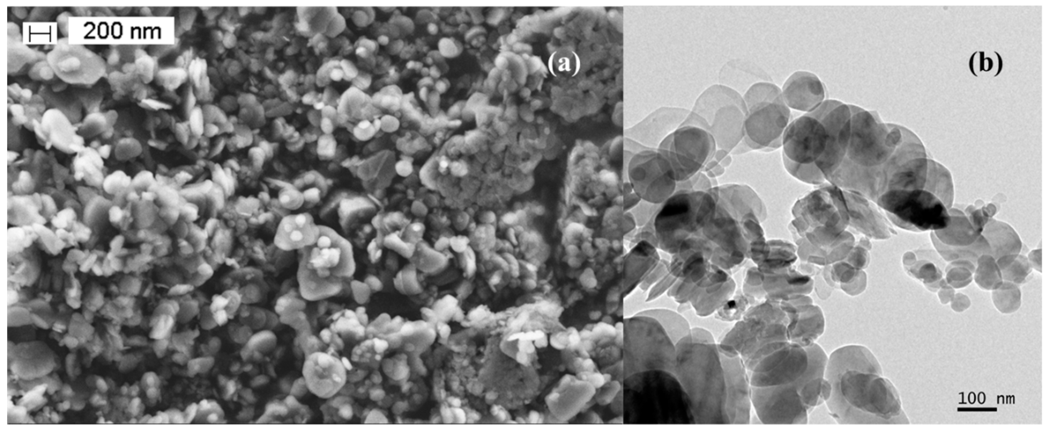 Coatings 09 00509 g001