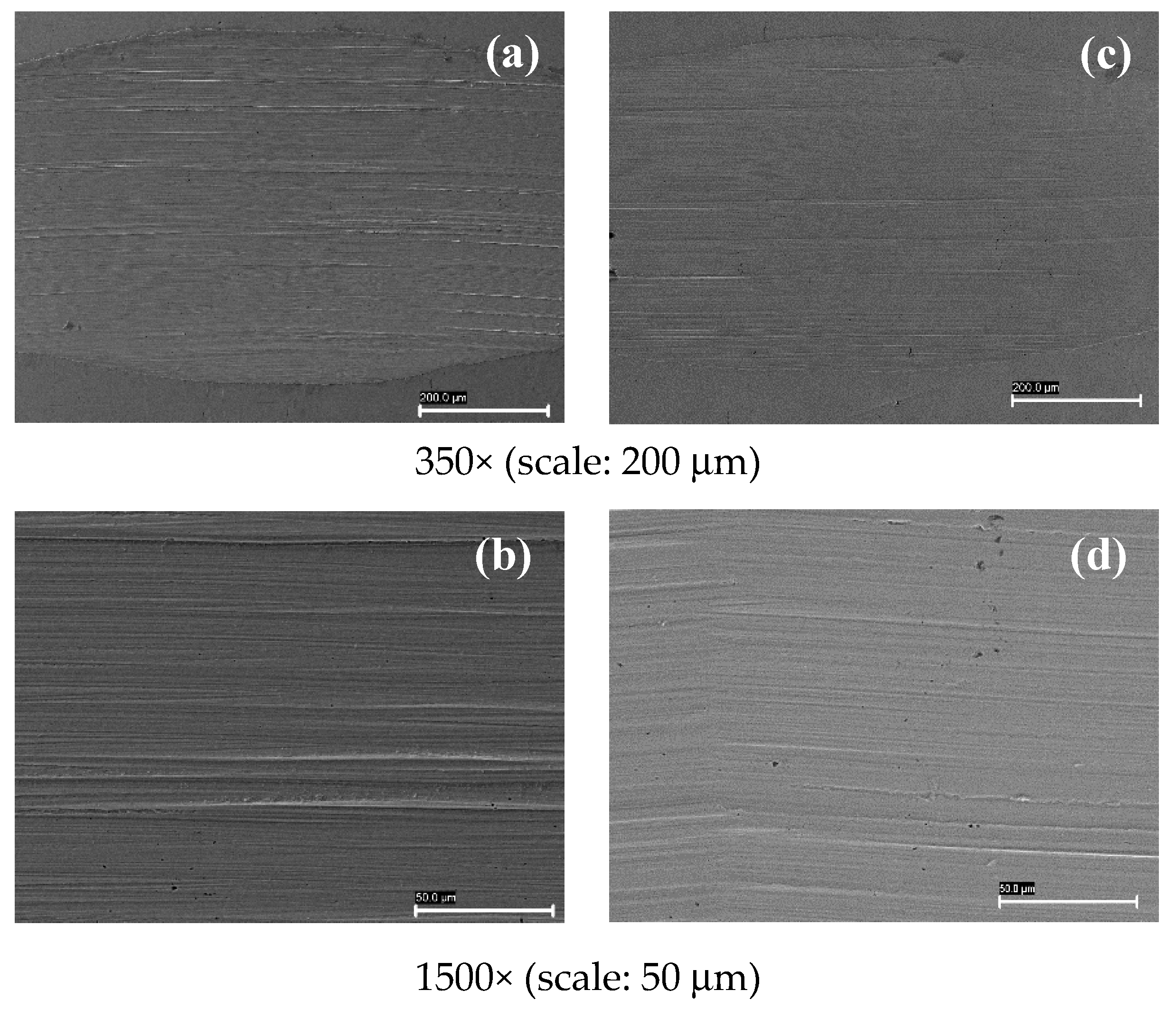 Coatings 09 00509 g010