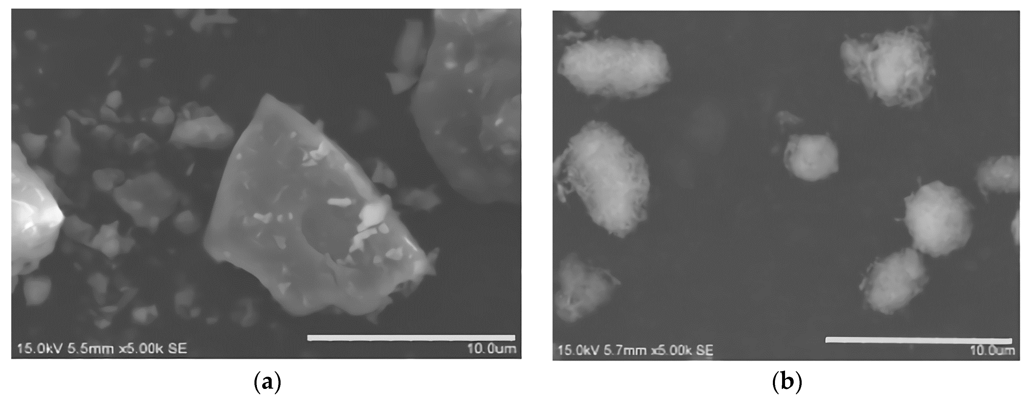 Coatings 09 00770 g004