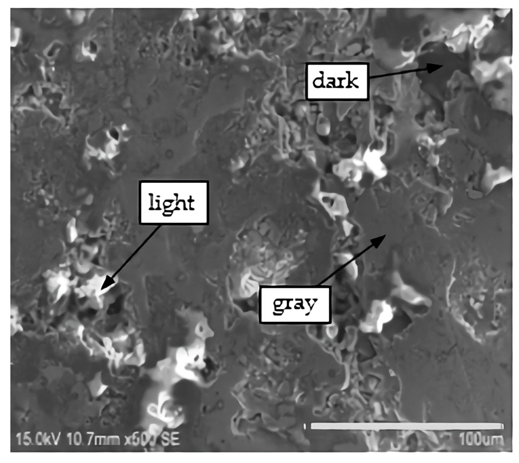 Coatings 09 00770 g008