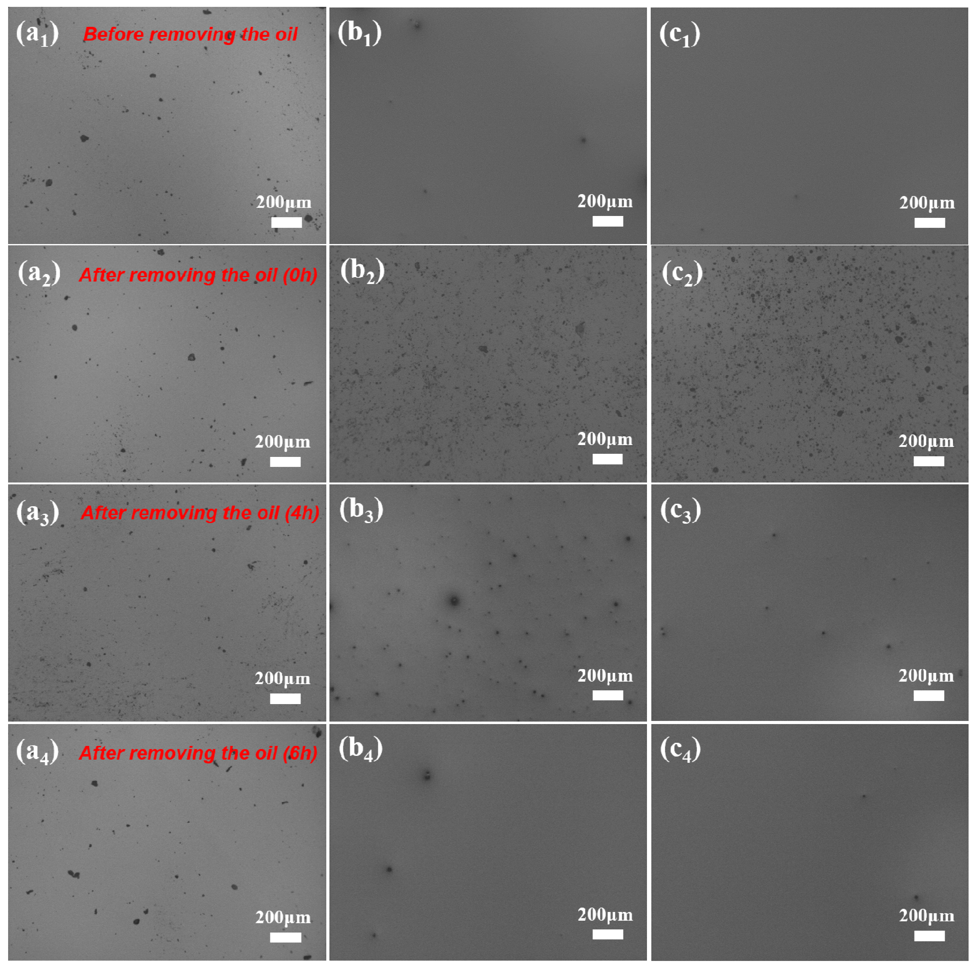 Coatings 10 00119 g003