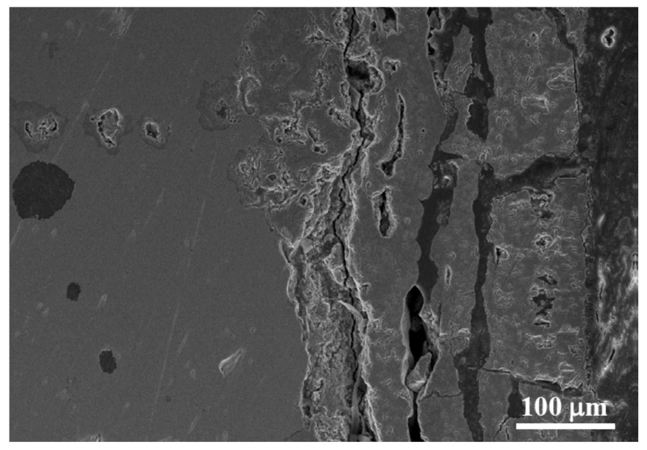 Coatings 10 00705 g003