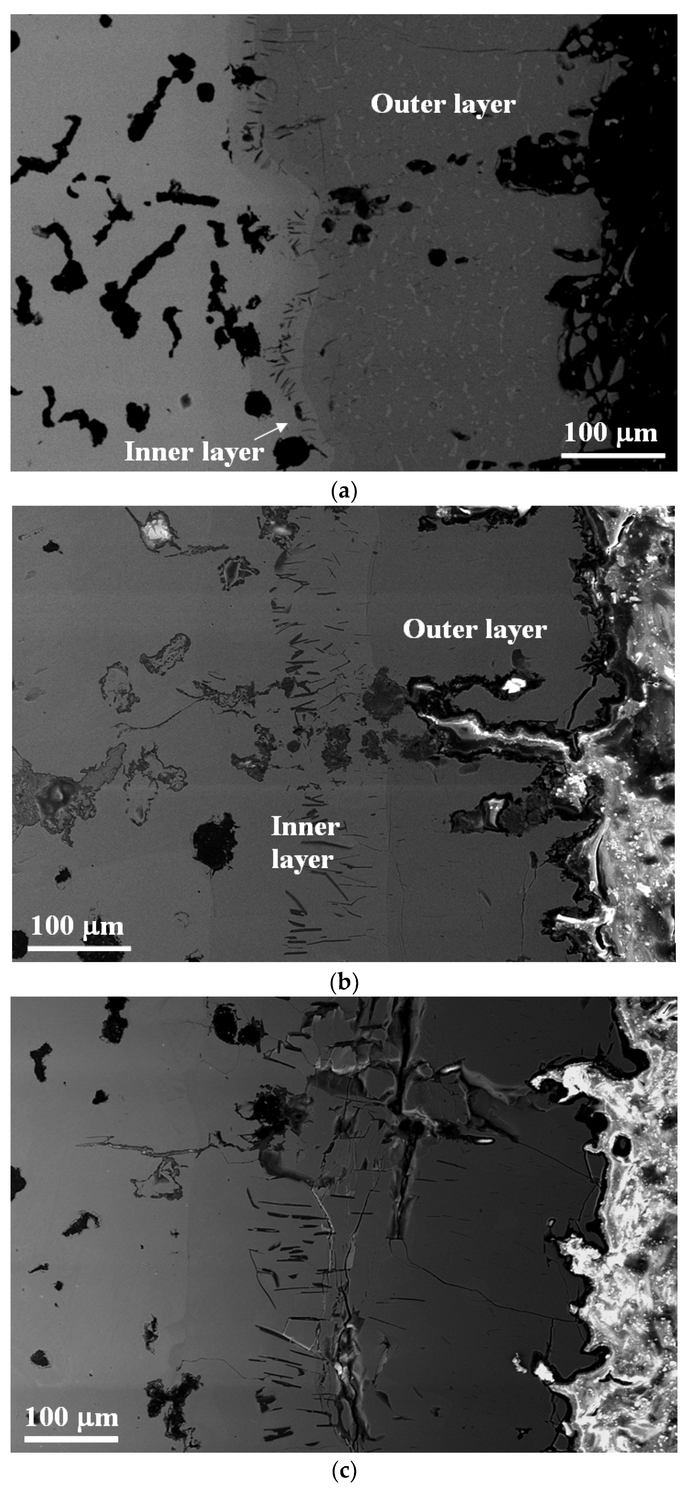 Coatings 10 00705 g006