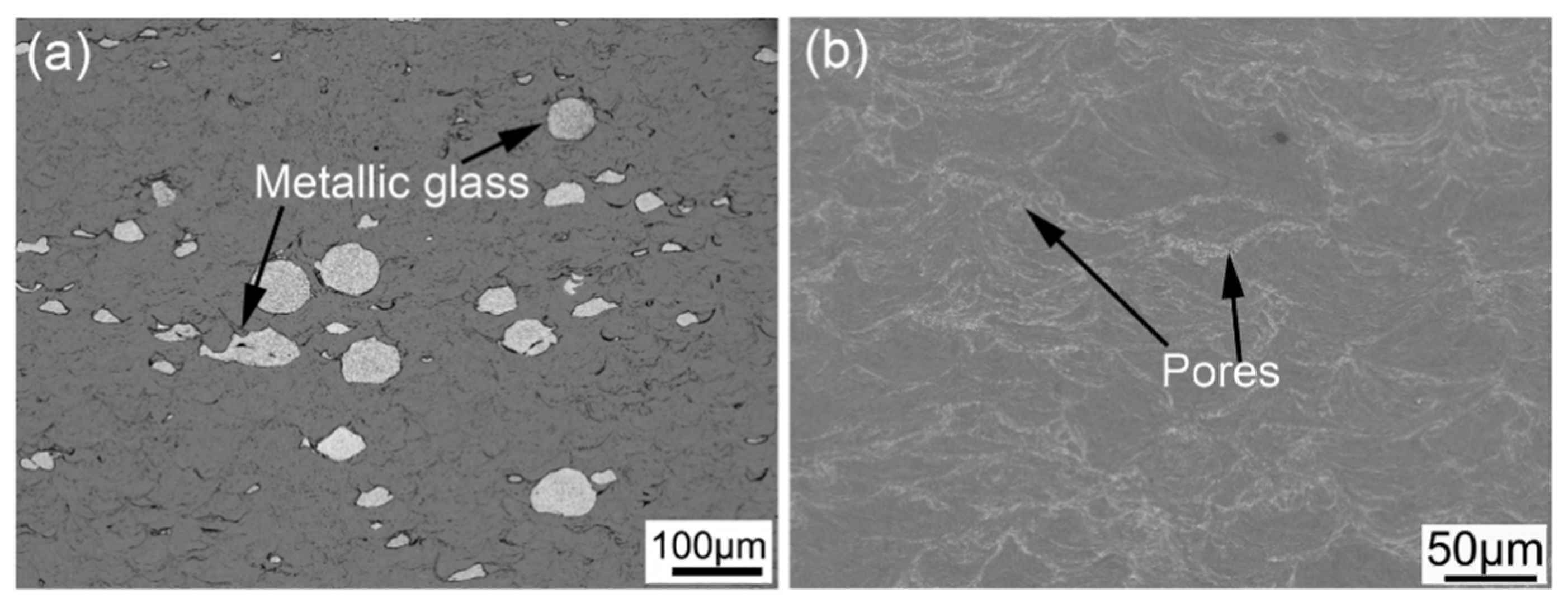 Coatings 11 00206 g011