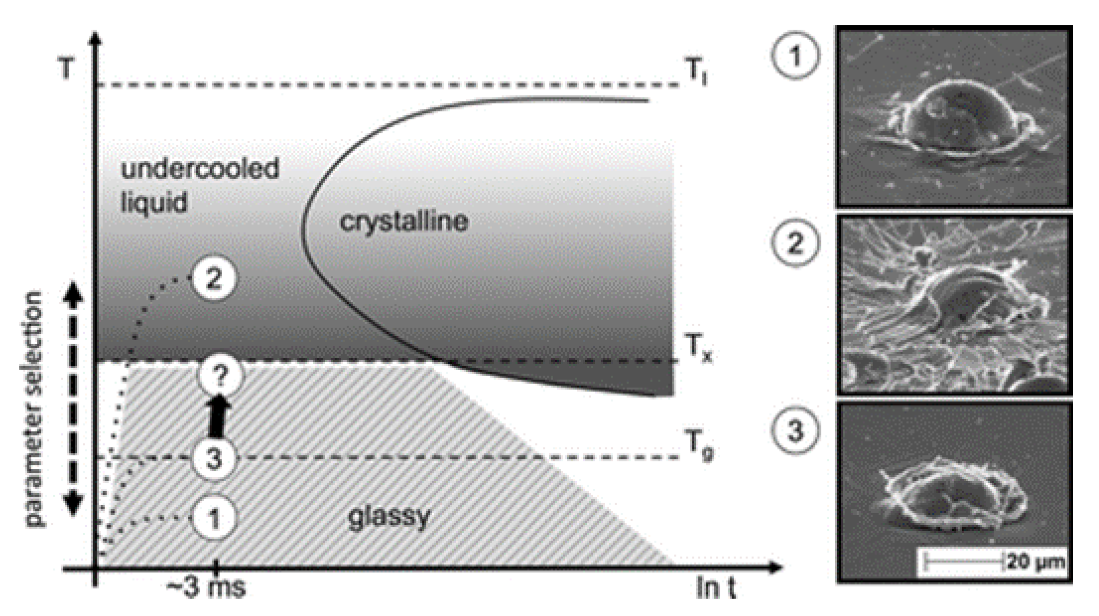 Coatings 11 00206 g012