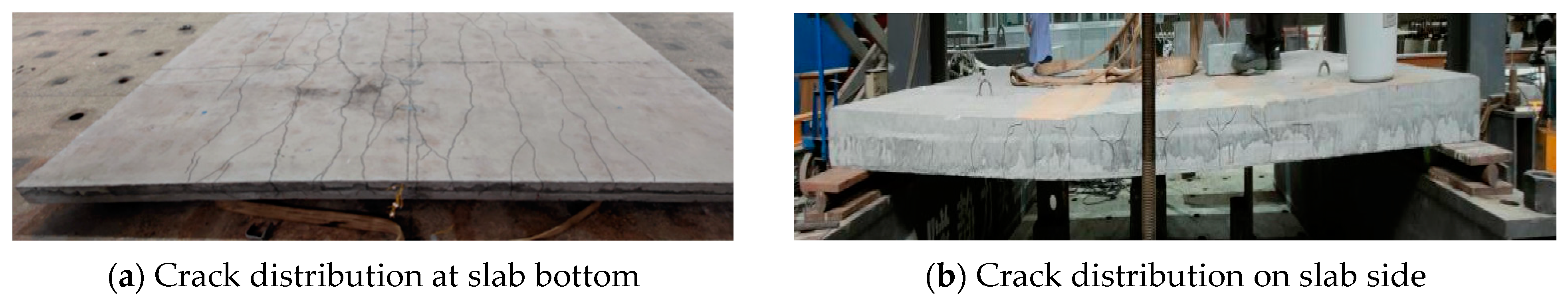 Coatings 12 01075 g011