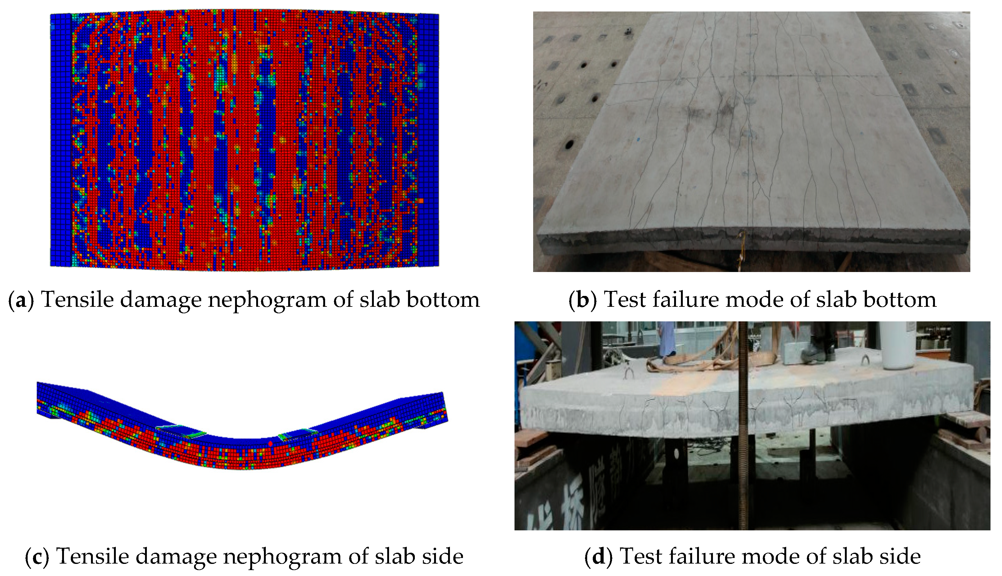 Coatings 12 01075 g018