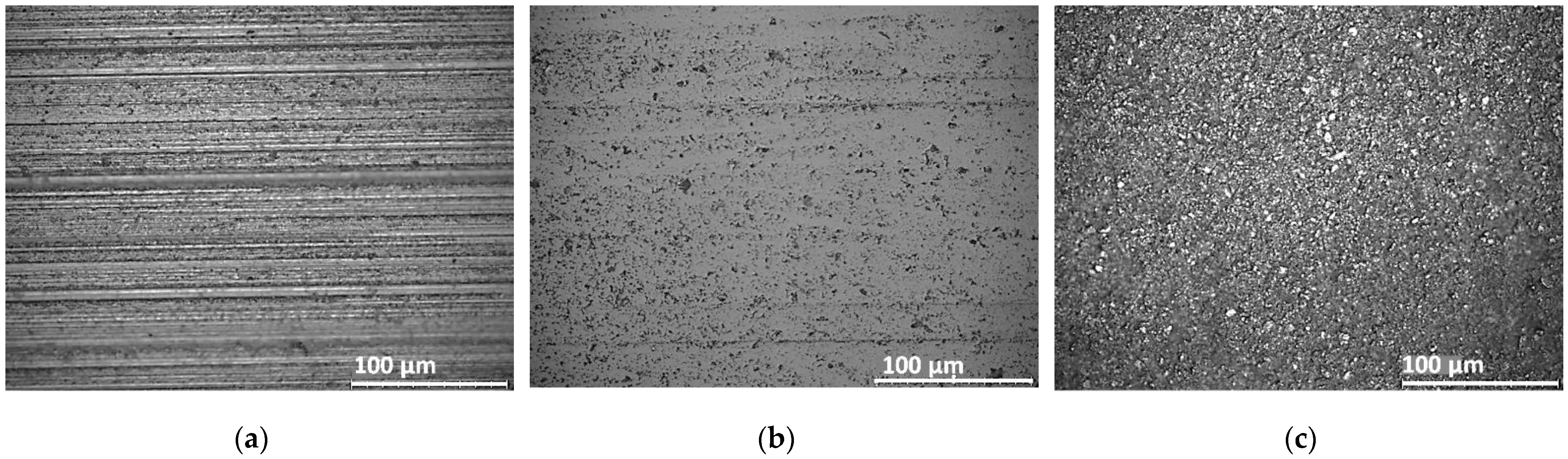 Coatings 12 01484 g002